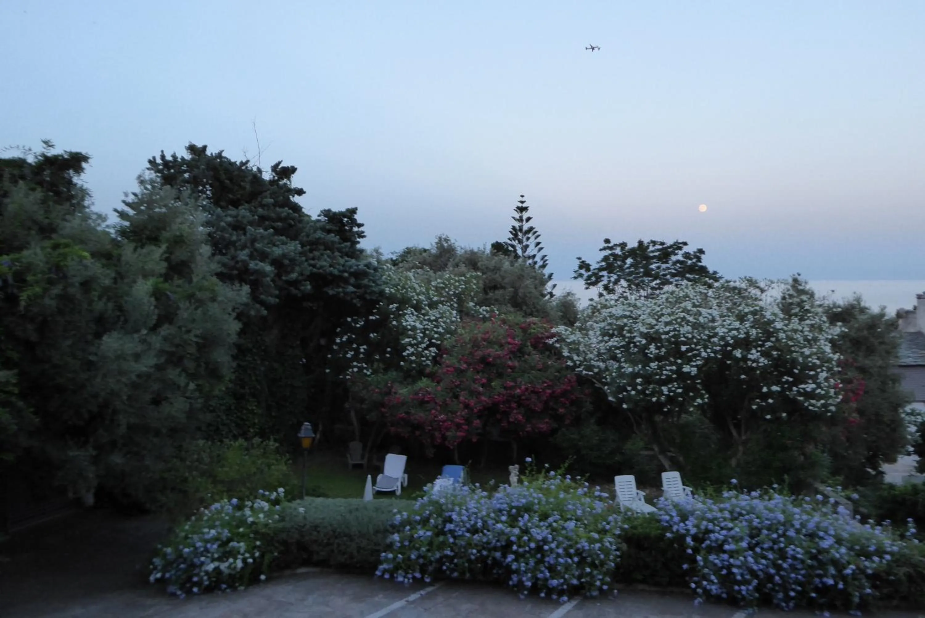 Garden in Hotel Cyrnea