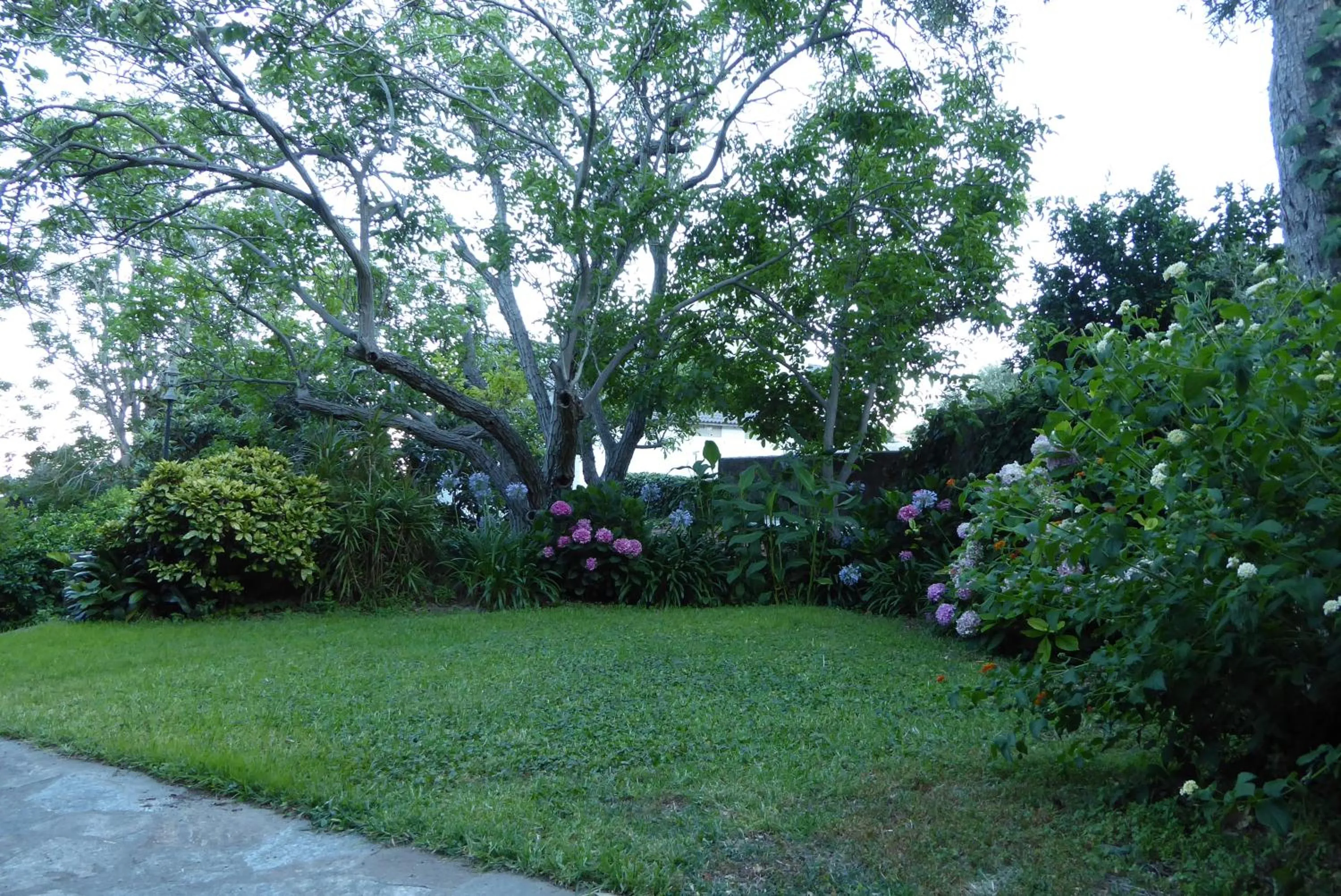 Natural landscape in Hotel Cyrnea