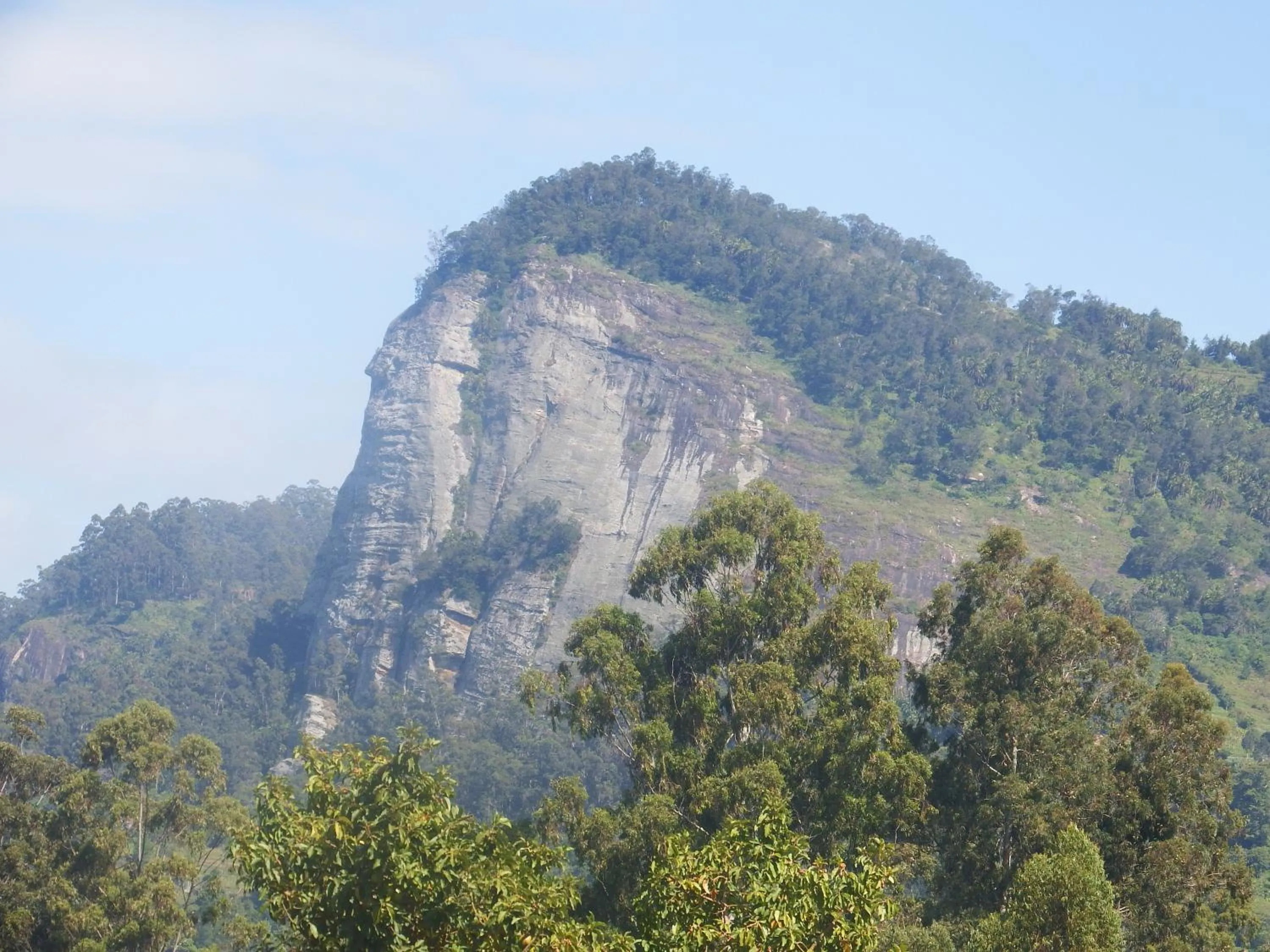 Natural landscape in Lavender Garden Hotel