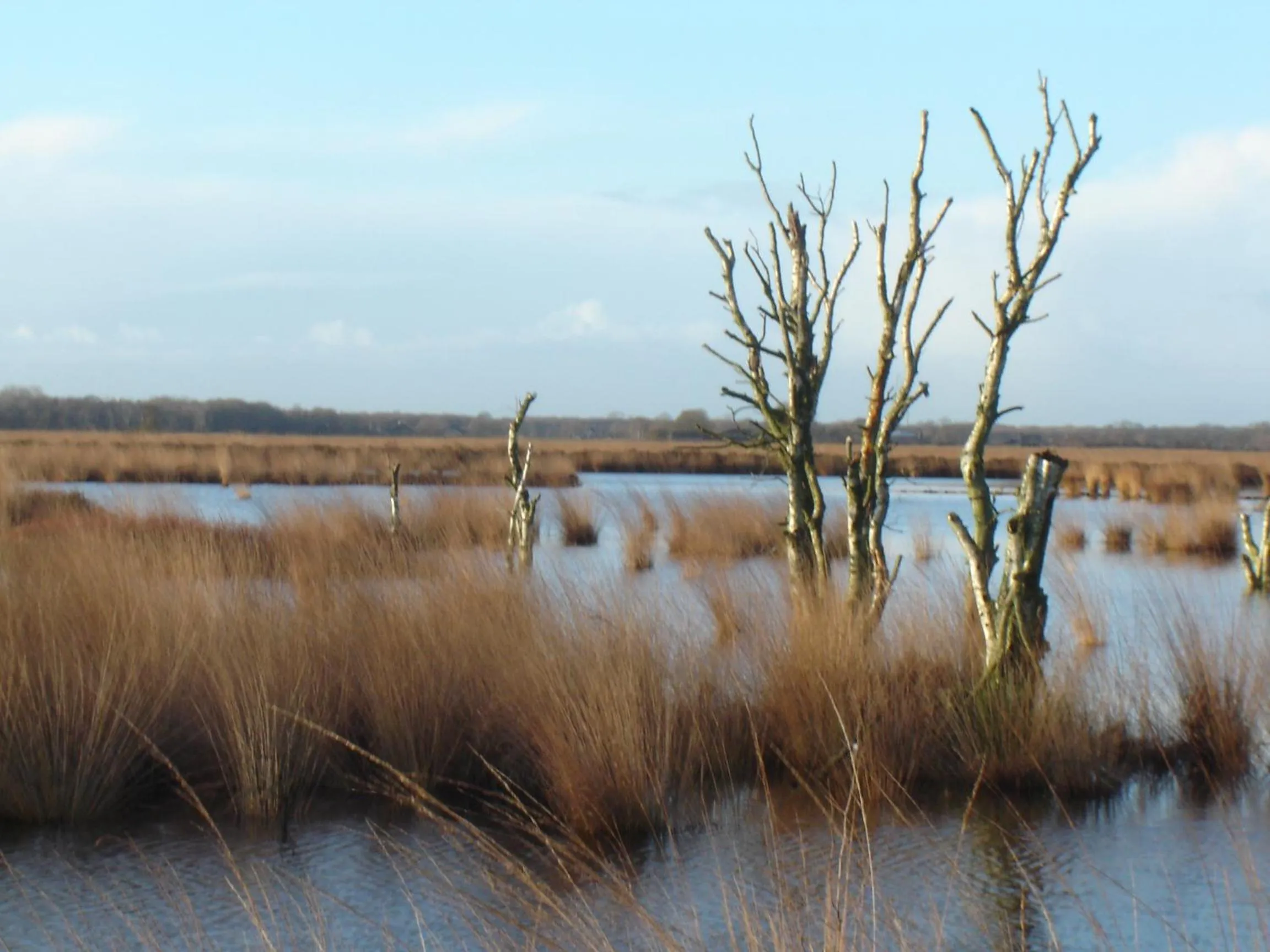 Area and facilities in Bitter en Zoet