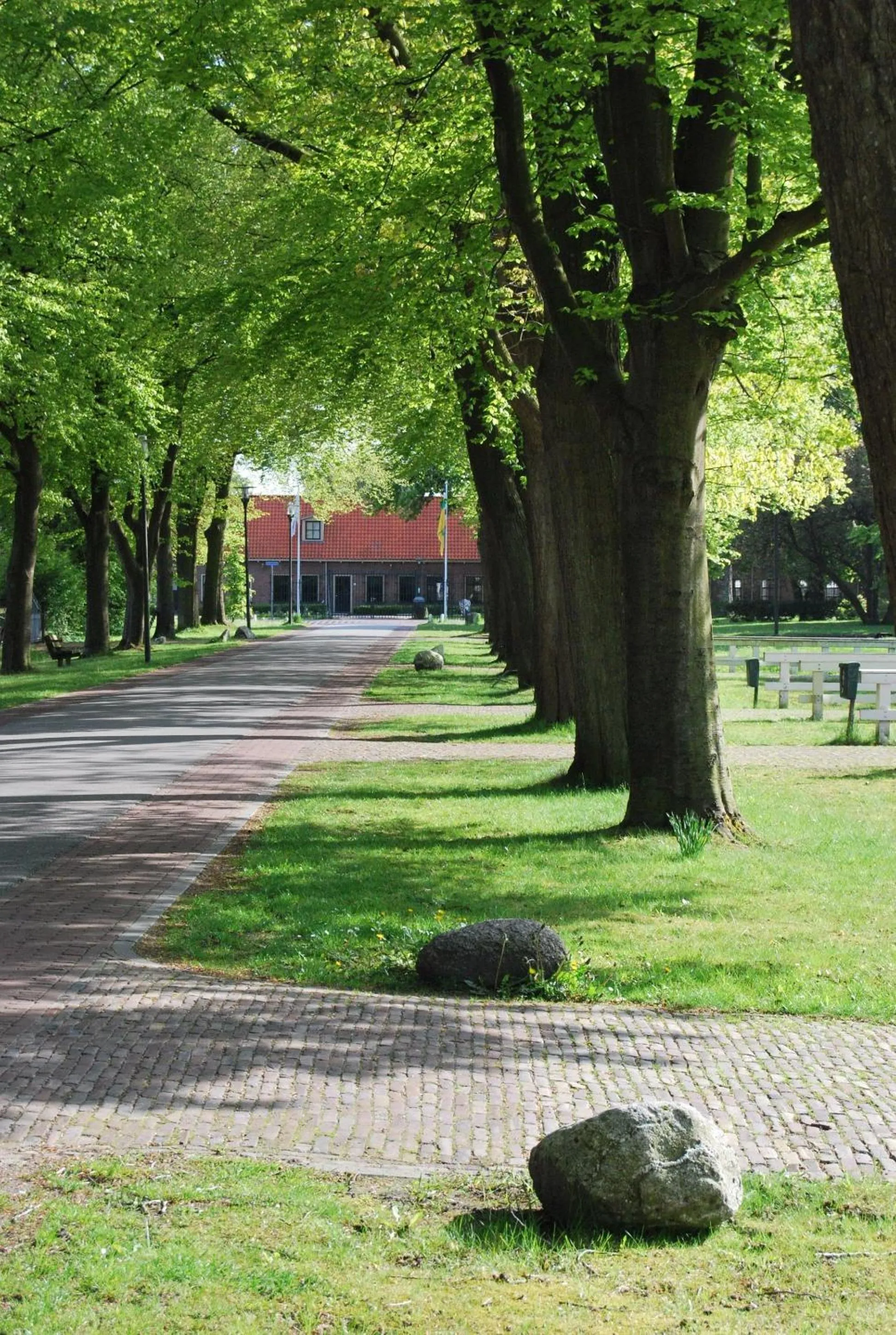 Natural landscape in Bitter en Zoet