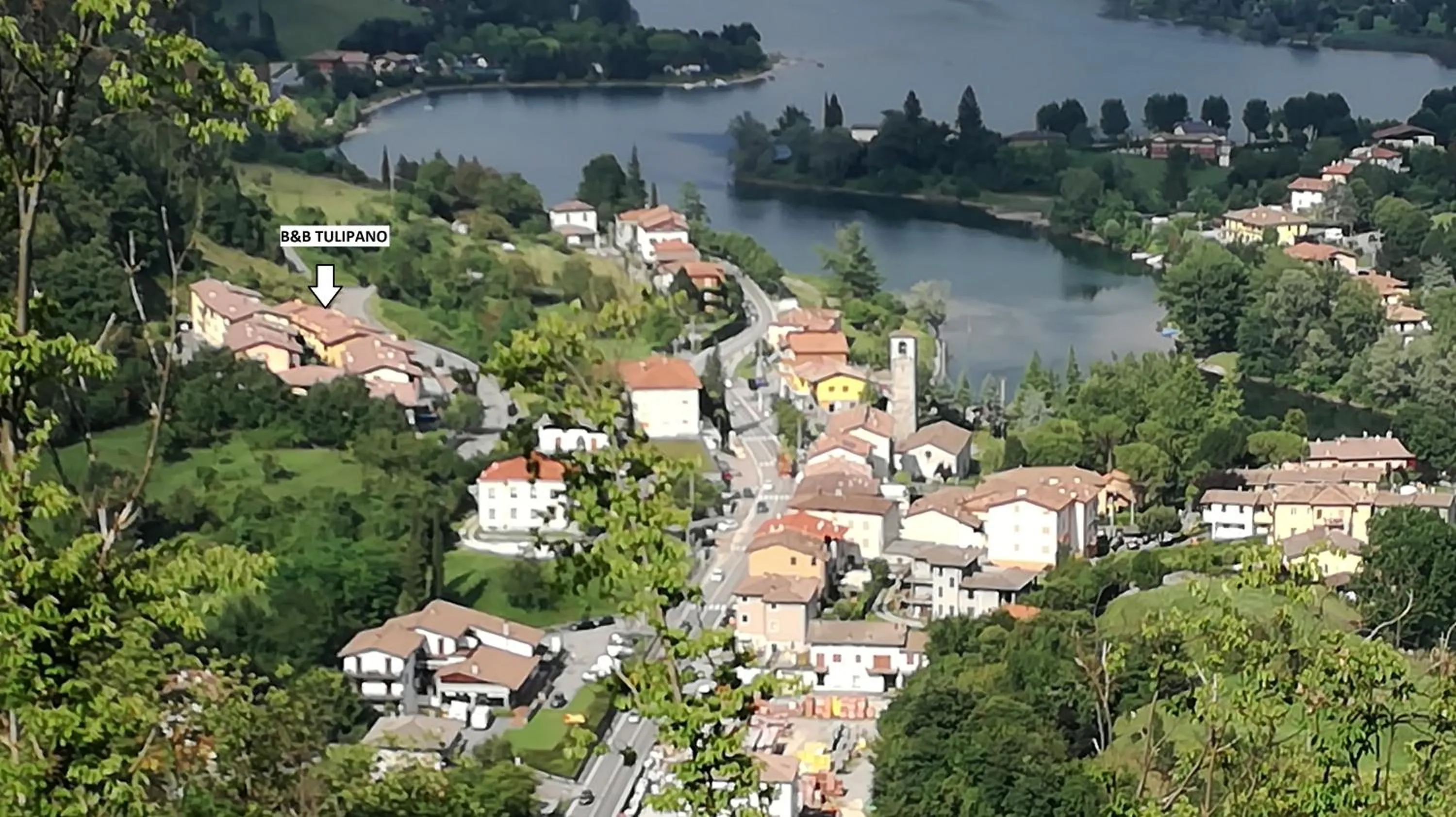 B&B Tulipano