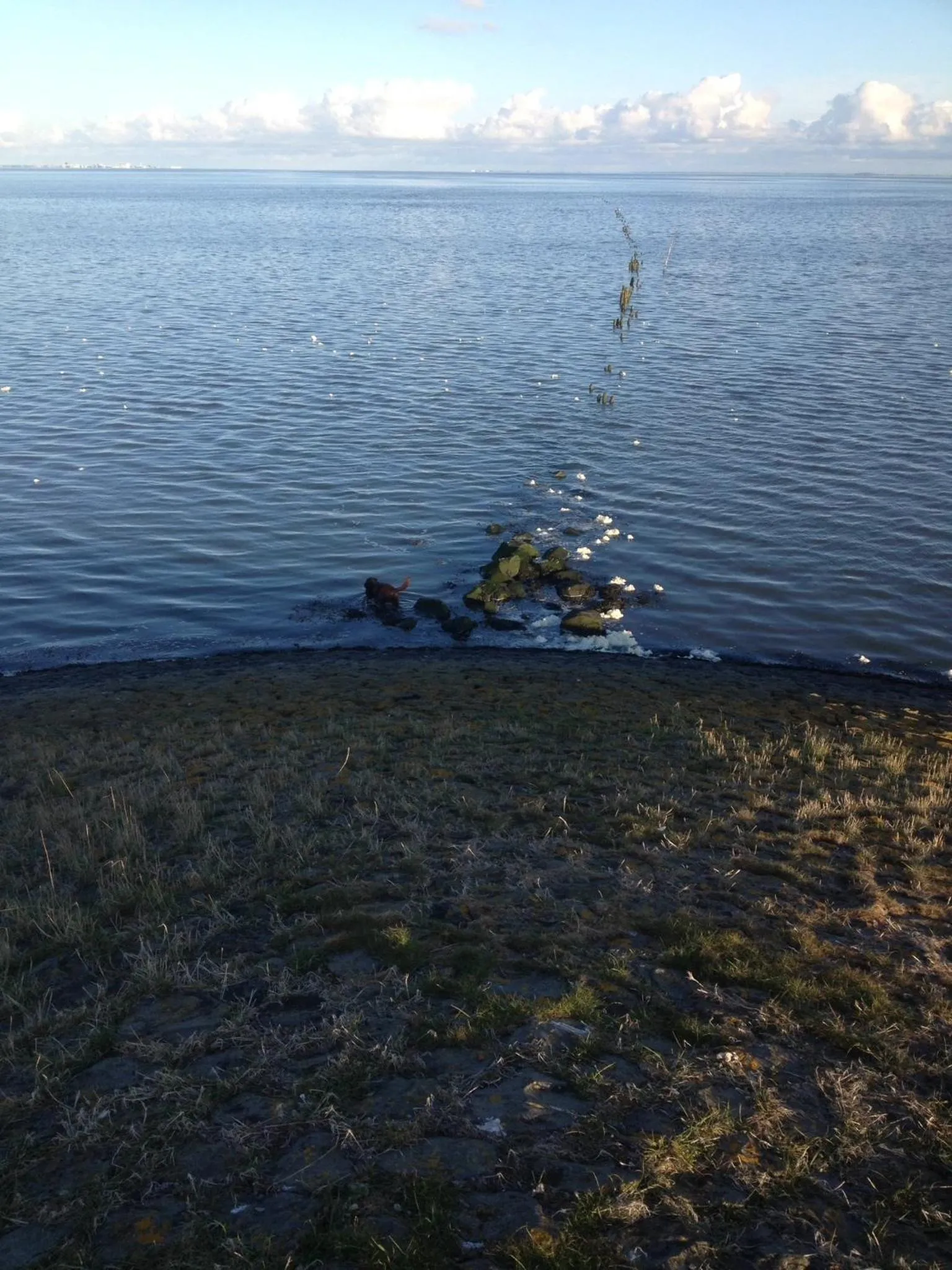 Neighbourhood in Het Huis van de Wadden