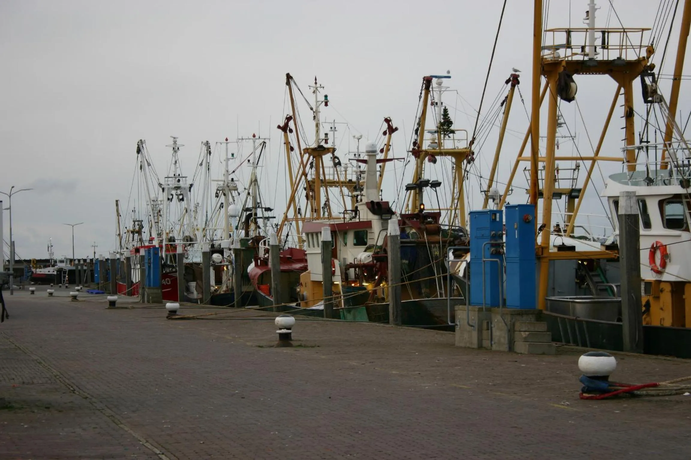 Nearby landmark in Het Huis van de Wadden