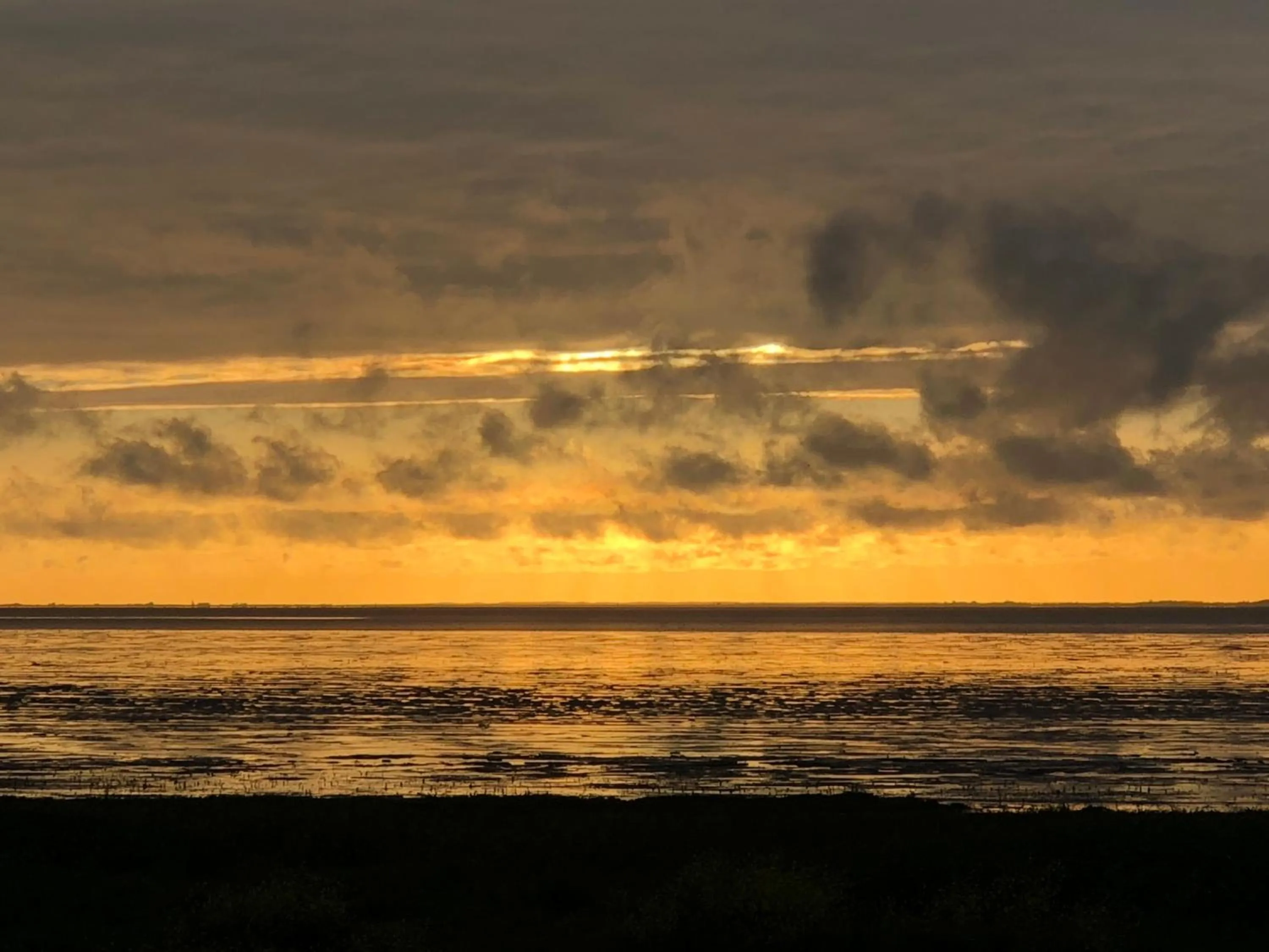 Natural landscape in Het Huis van de Wadden
