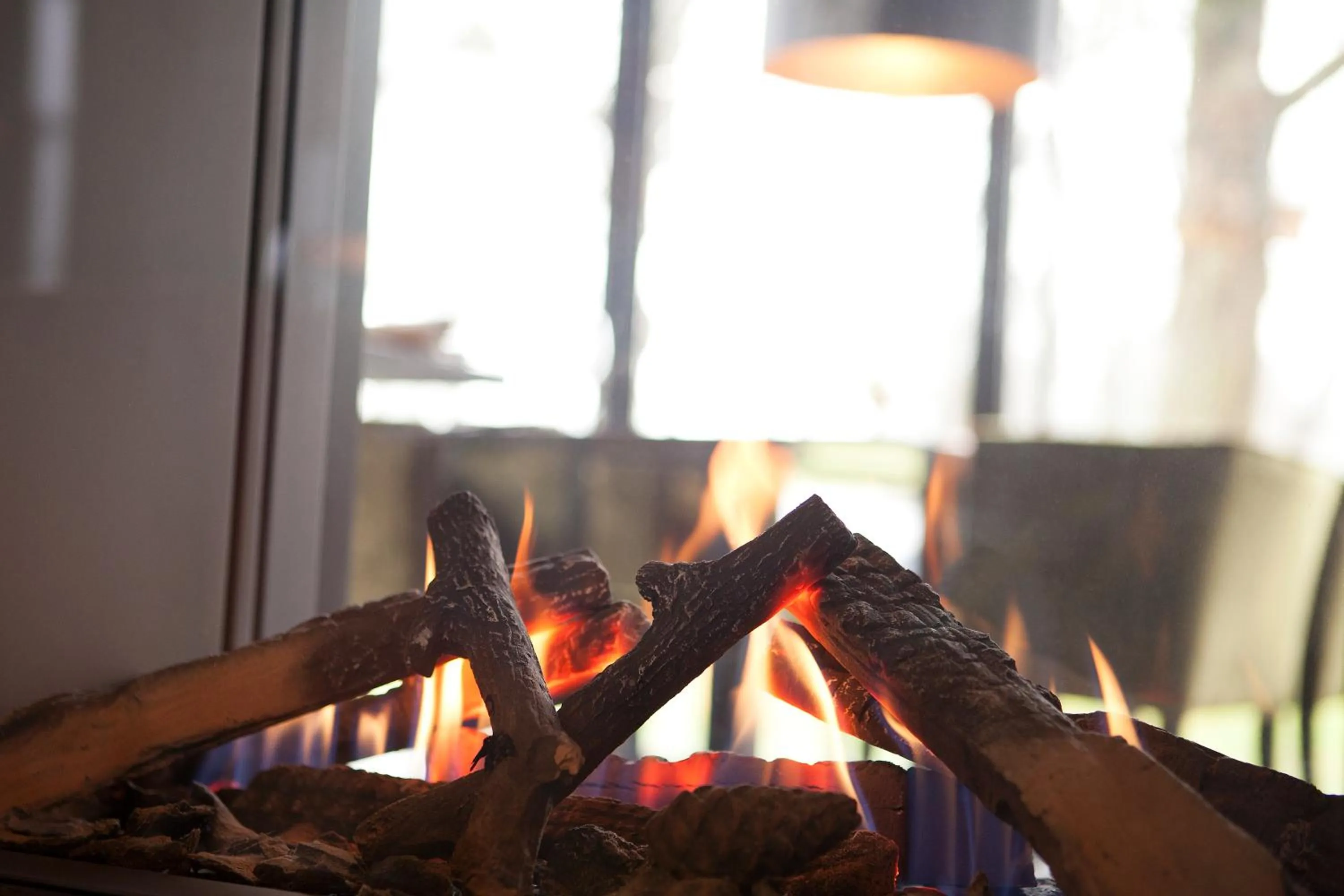 Restaurant/places to eat in Hotel Restaurant Het Witte Paard