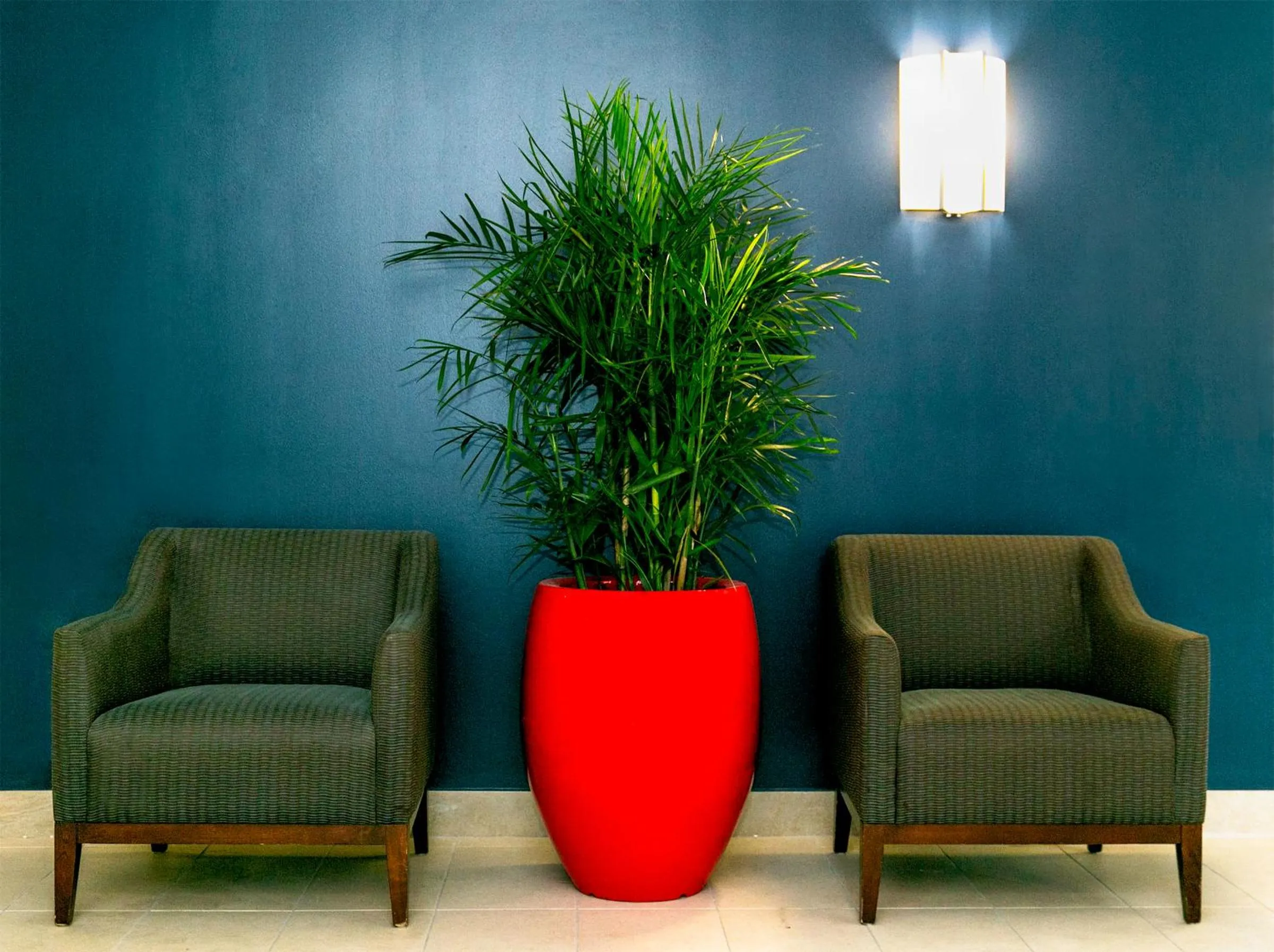 Lobby or reception in Commodore Suites