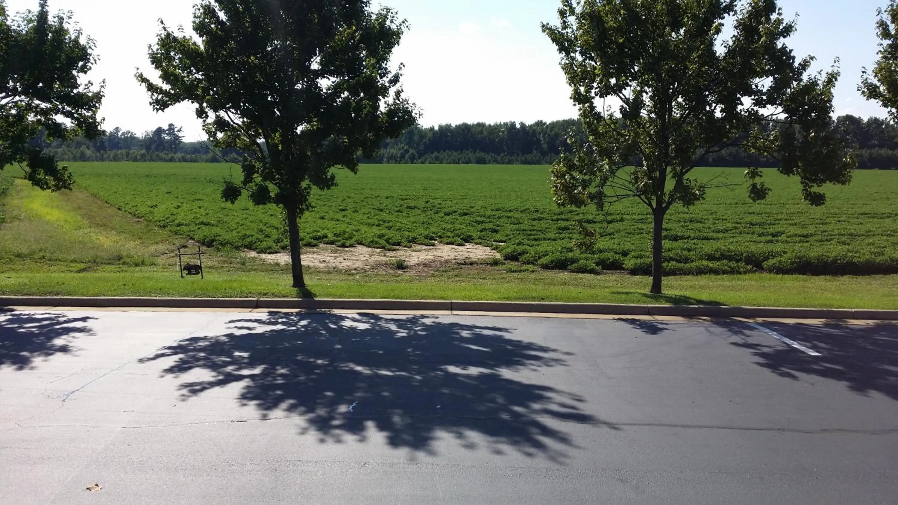 Property building in Scotland Neck Inn