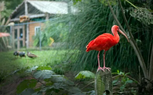 Nearby landmark in Scotland Neck Inn