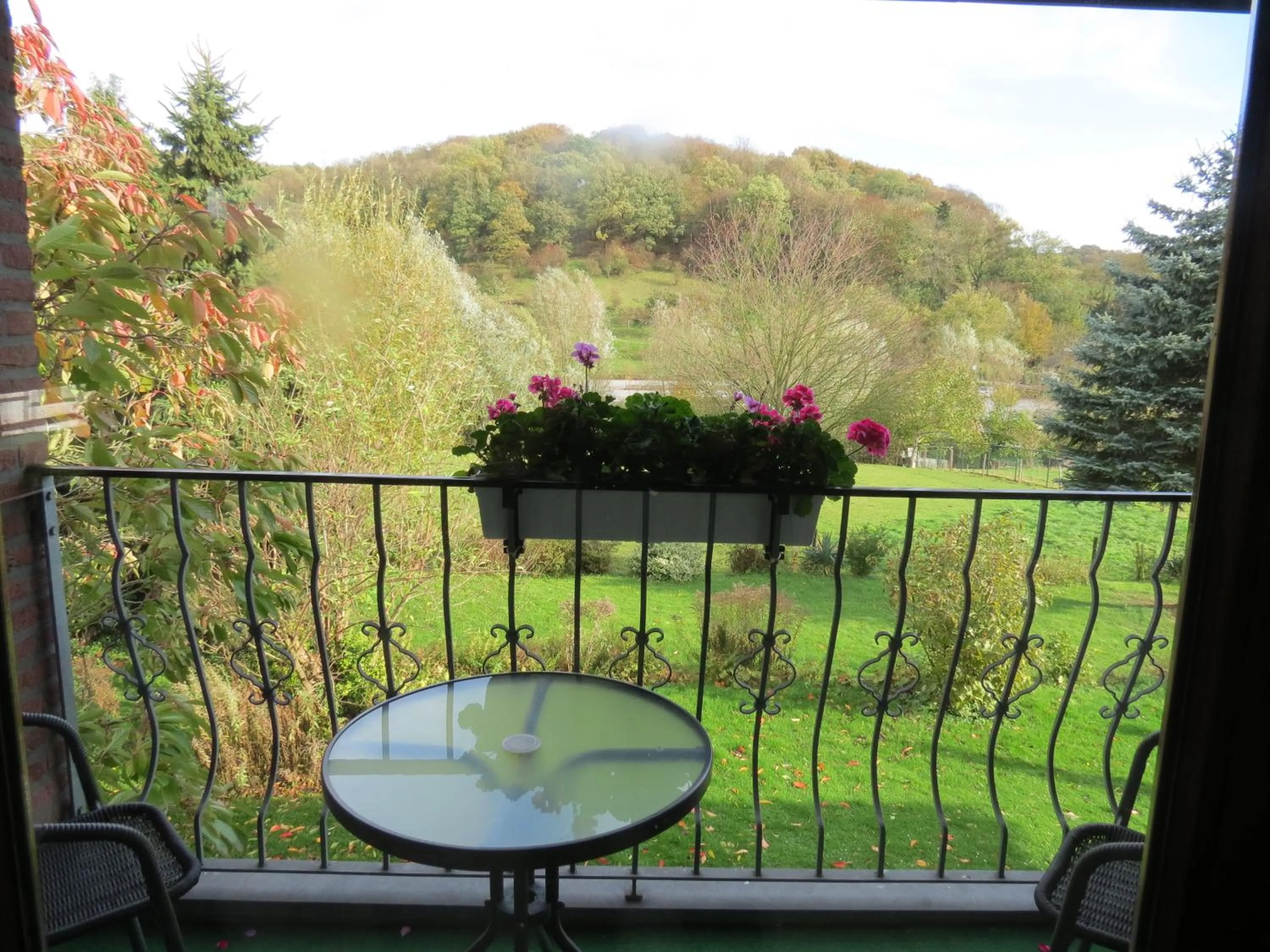 View (from property/room) in Hotel Residentie Slenaeken