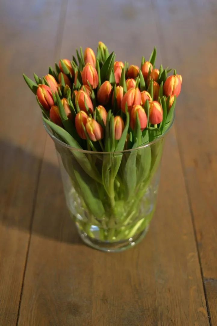 Hotel Residentie Slenaeken