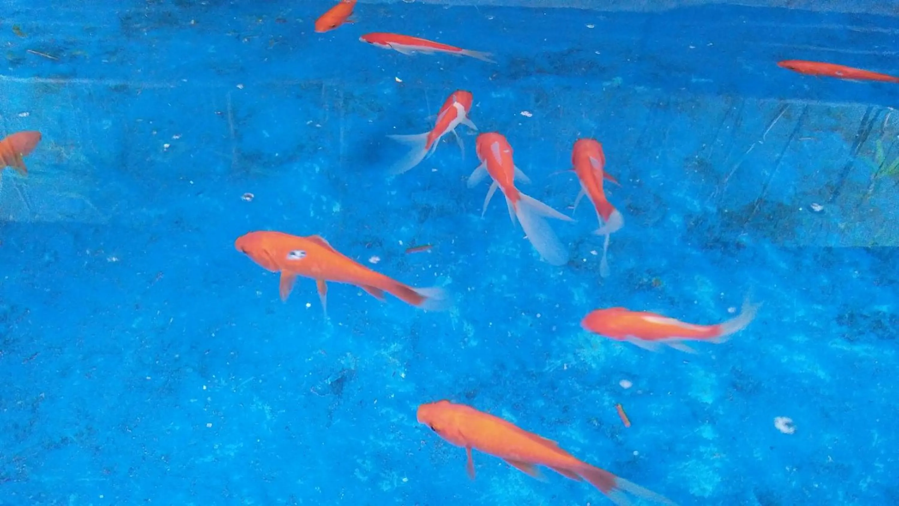 Property building in Ngampilan Backpacker Hostel