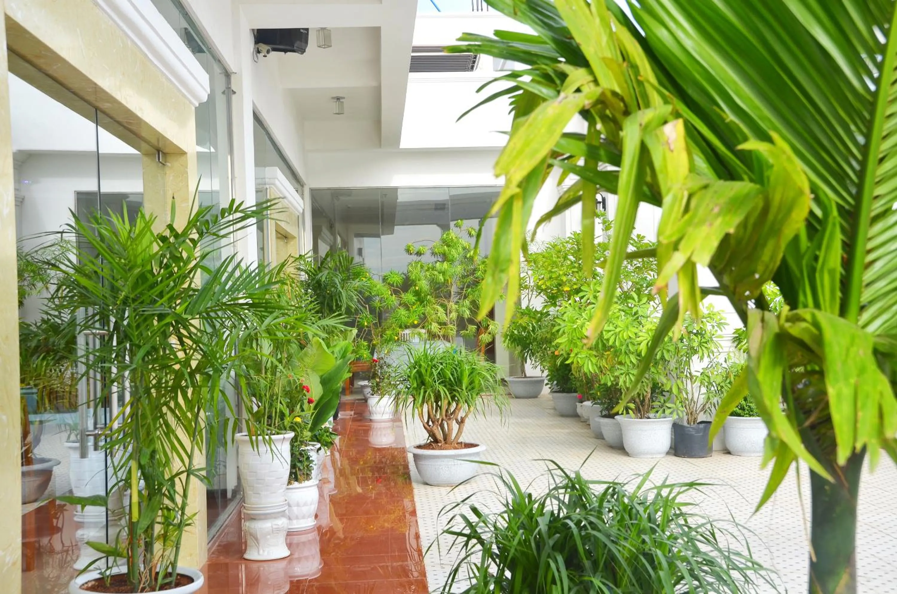 Restaurant/places to eat in Centre Hotel