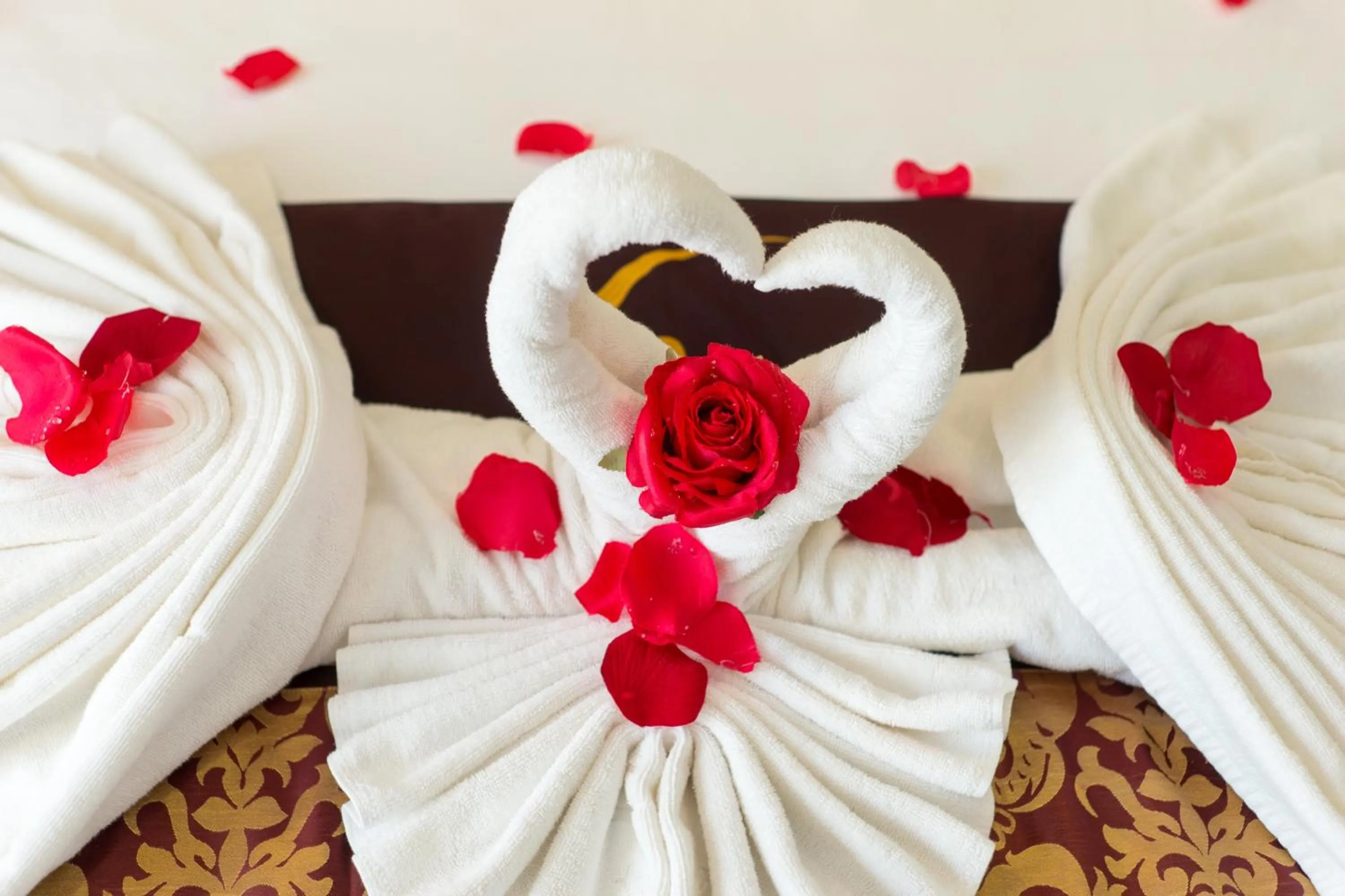 Area and facilities, Bed in Centre Hotel