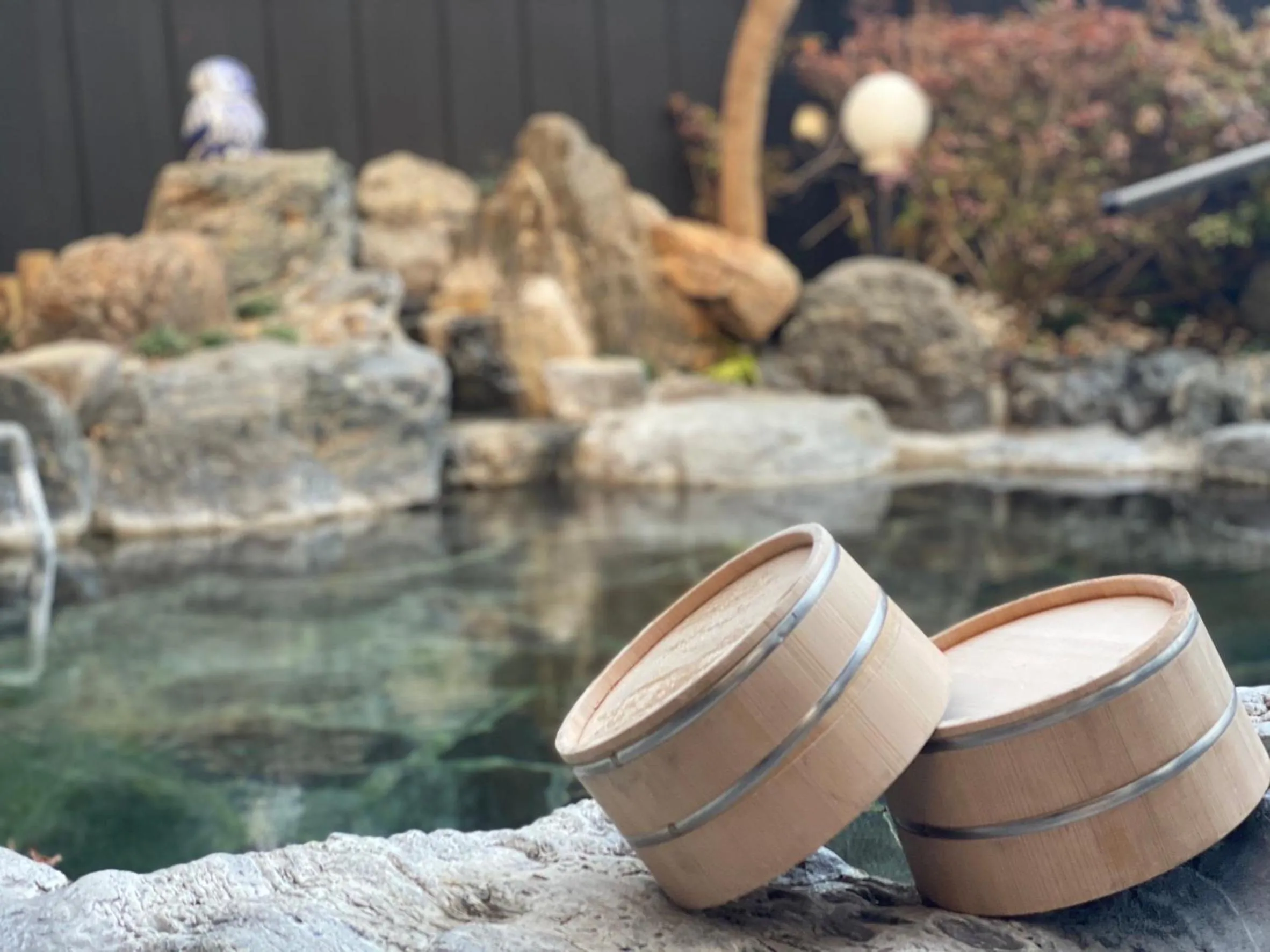 Hot Spring Bath in Yufuin Sonata