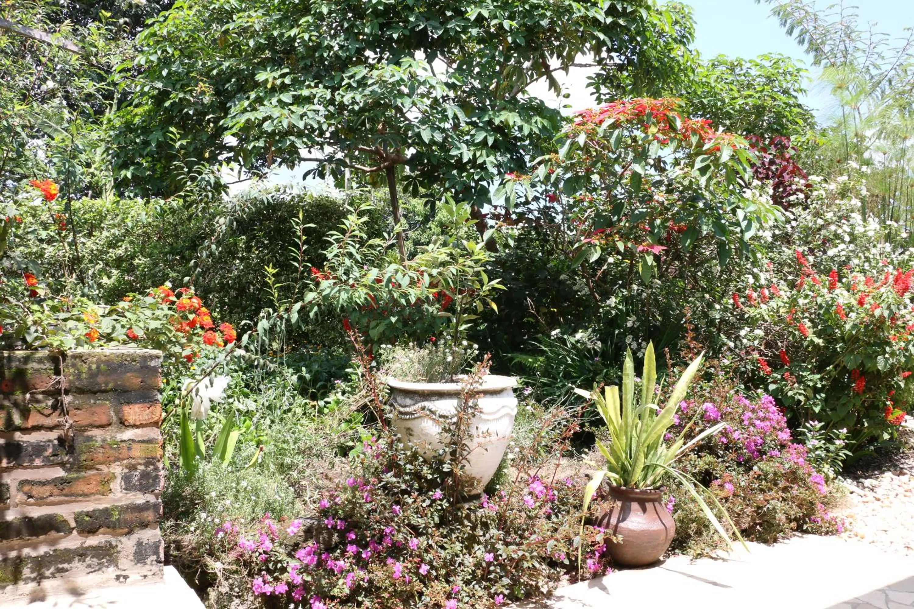 Garden view in La Locanda