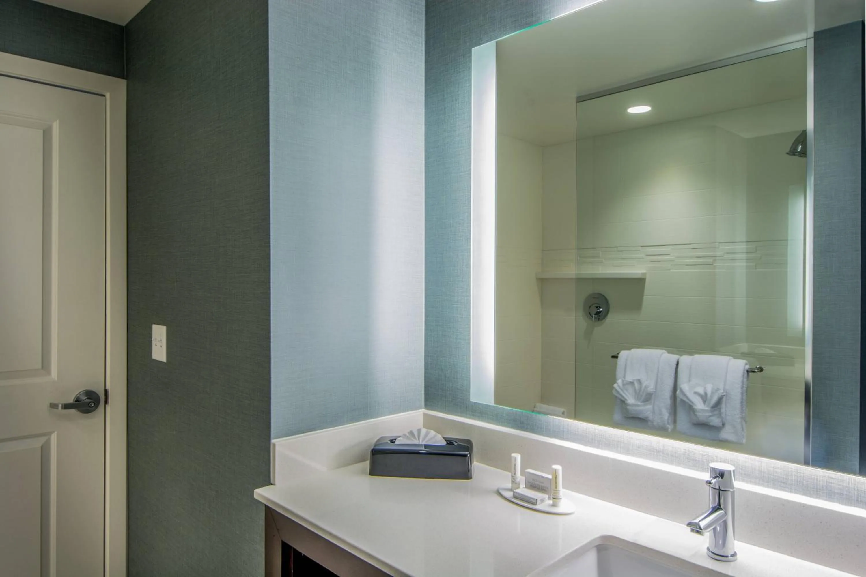 Bathroom in Residence Inn by Marriott Charlottesville Downtown