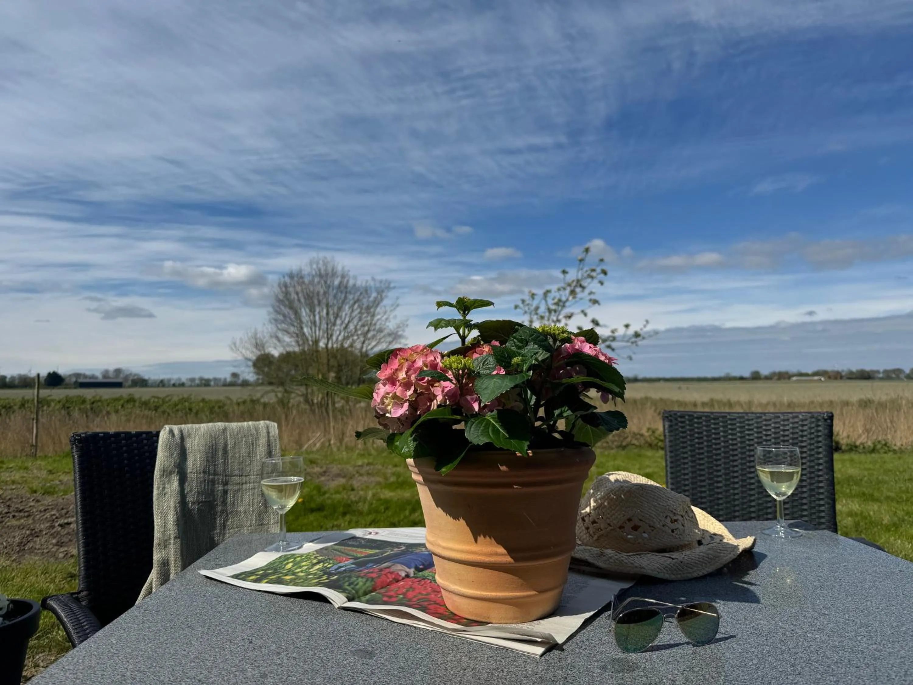 View (from property/room) in Hotelhuisjes Medemblik