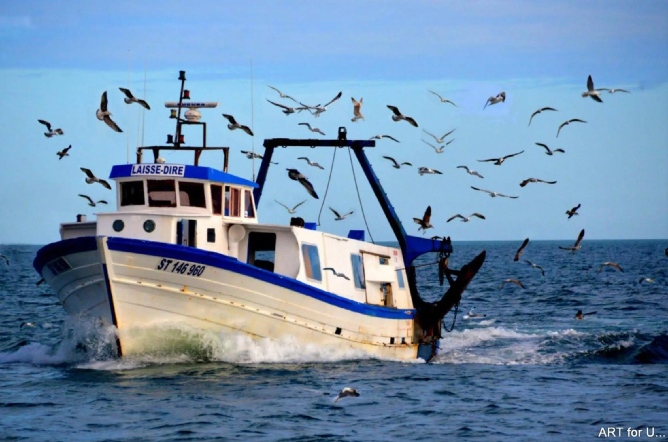 Entertainment in Hotel Mira-Mar