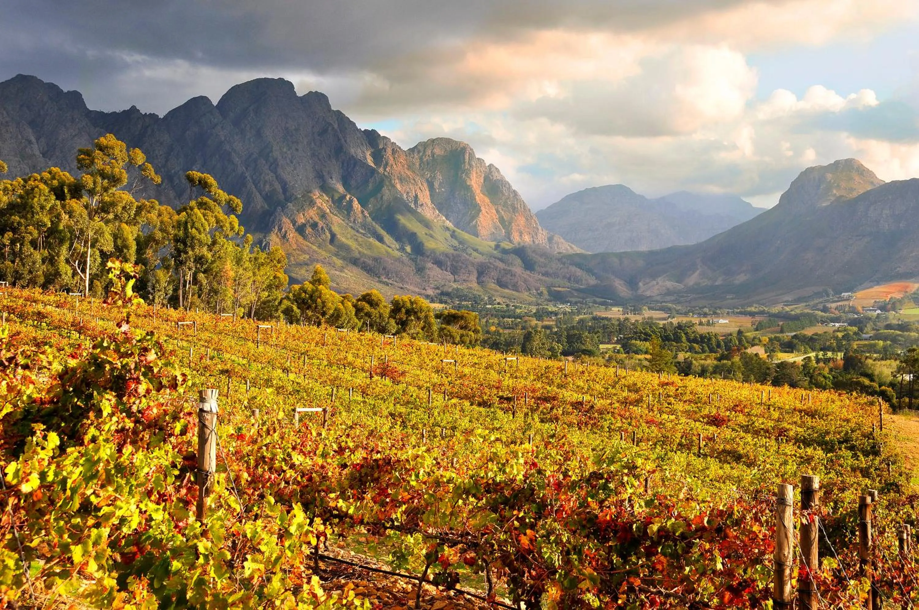 Natural landscape in La Petite Ferme
