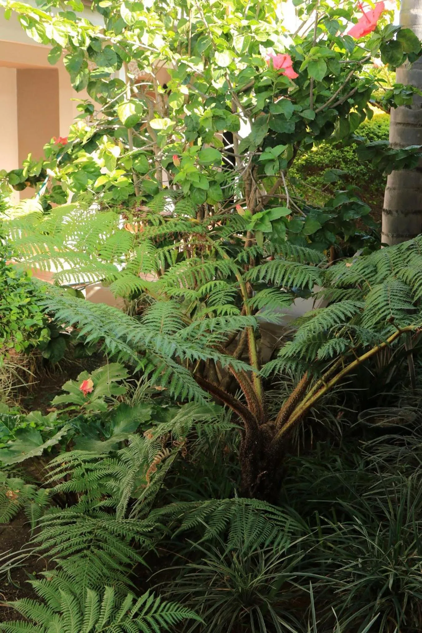 Natural landscape in Oxford Lodge Vryheid