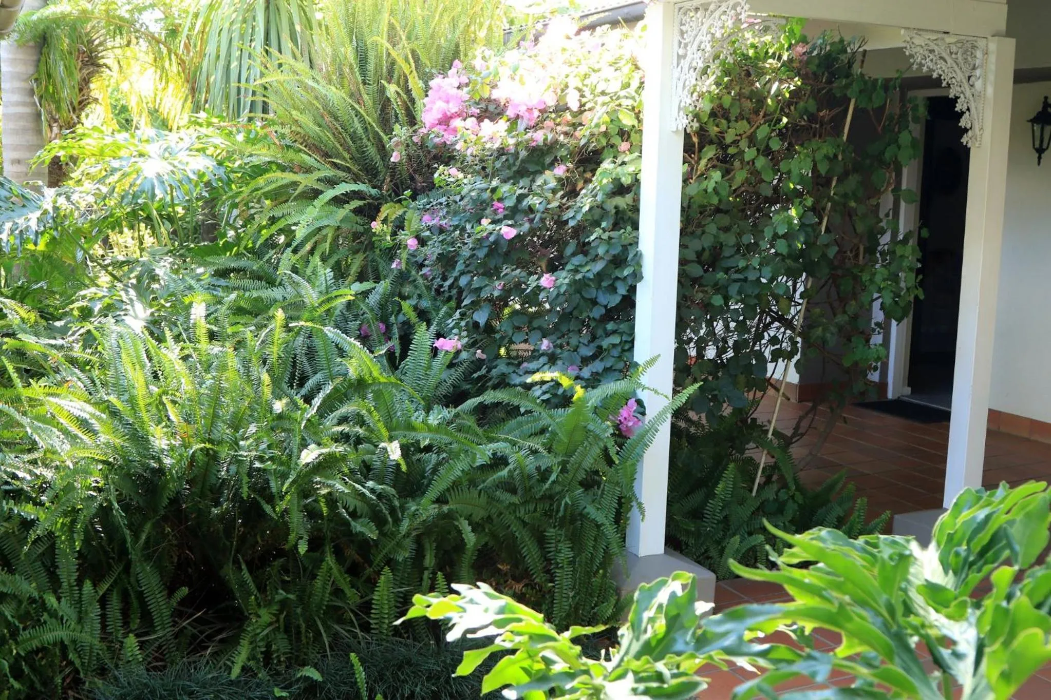 Garden in Oxford Lodge Vryheid