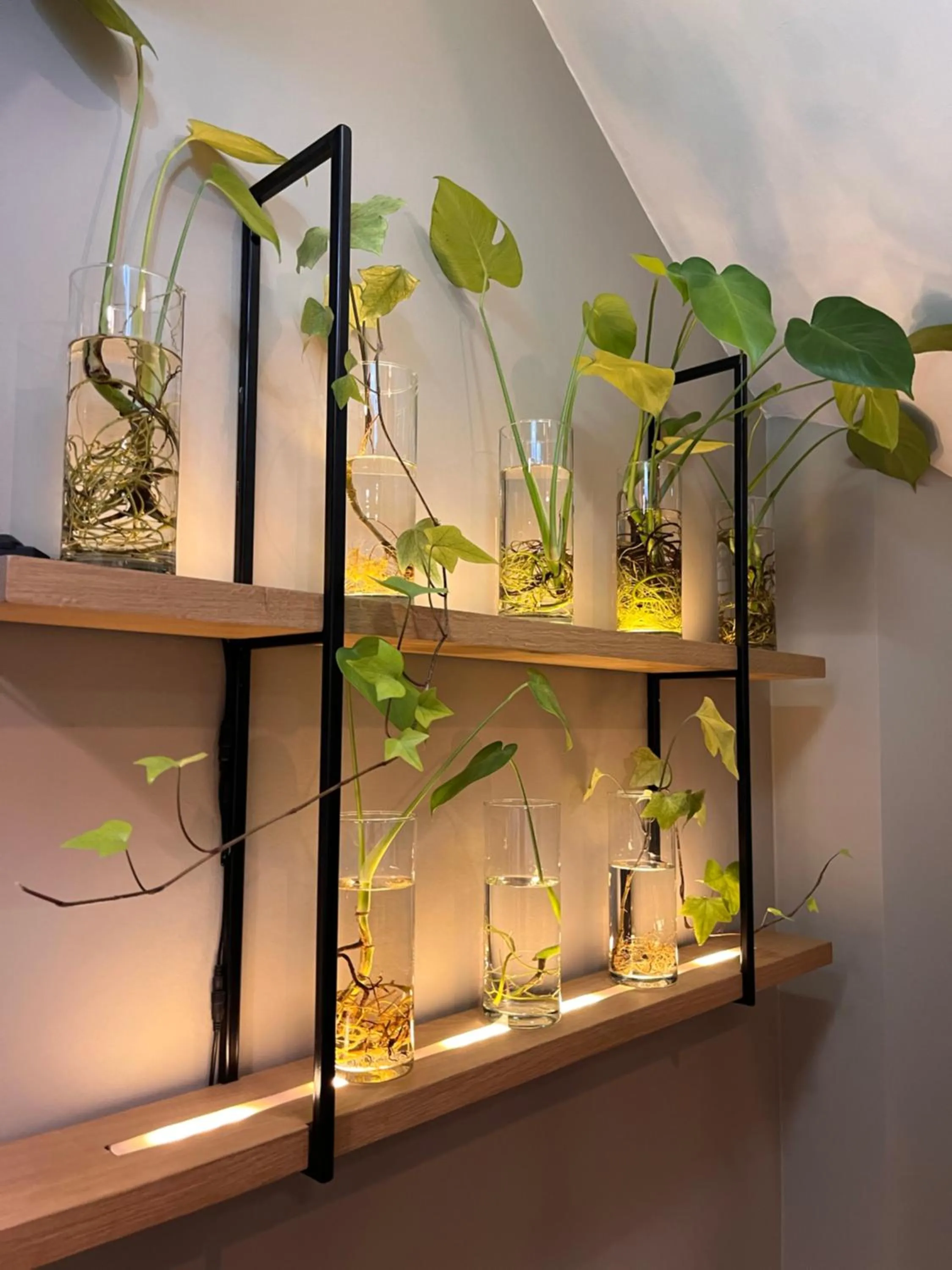 Decorative detail in Dutch Design Hotel Vondelpark