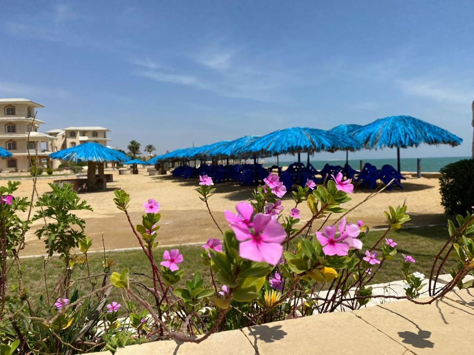 Fanara Apartments Armed Forces