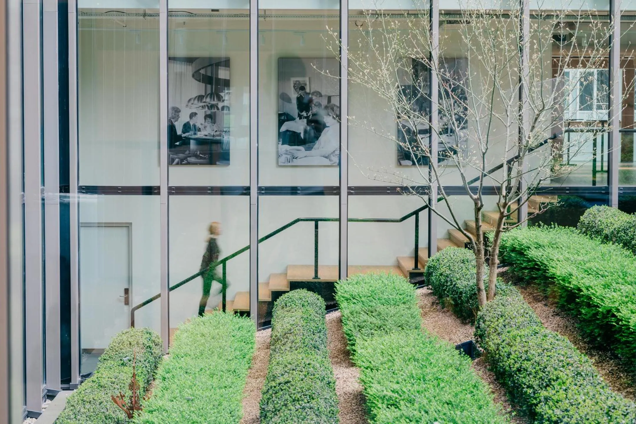 Garden in Hotel Casa Amsterdam