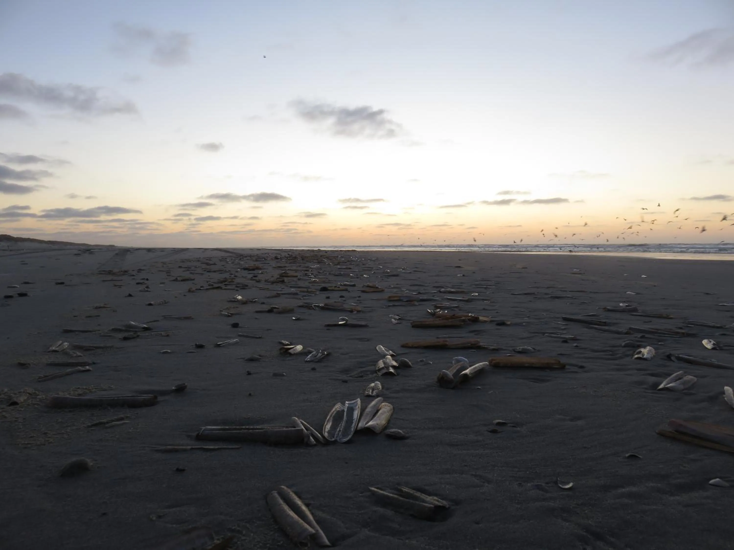 Area and facilities in Hotel "De Klok"