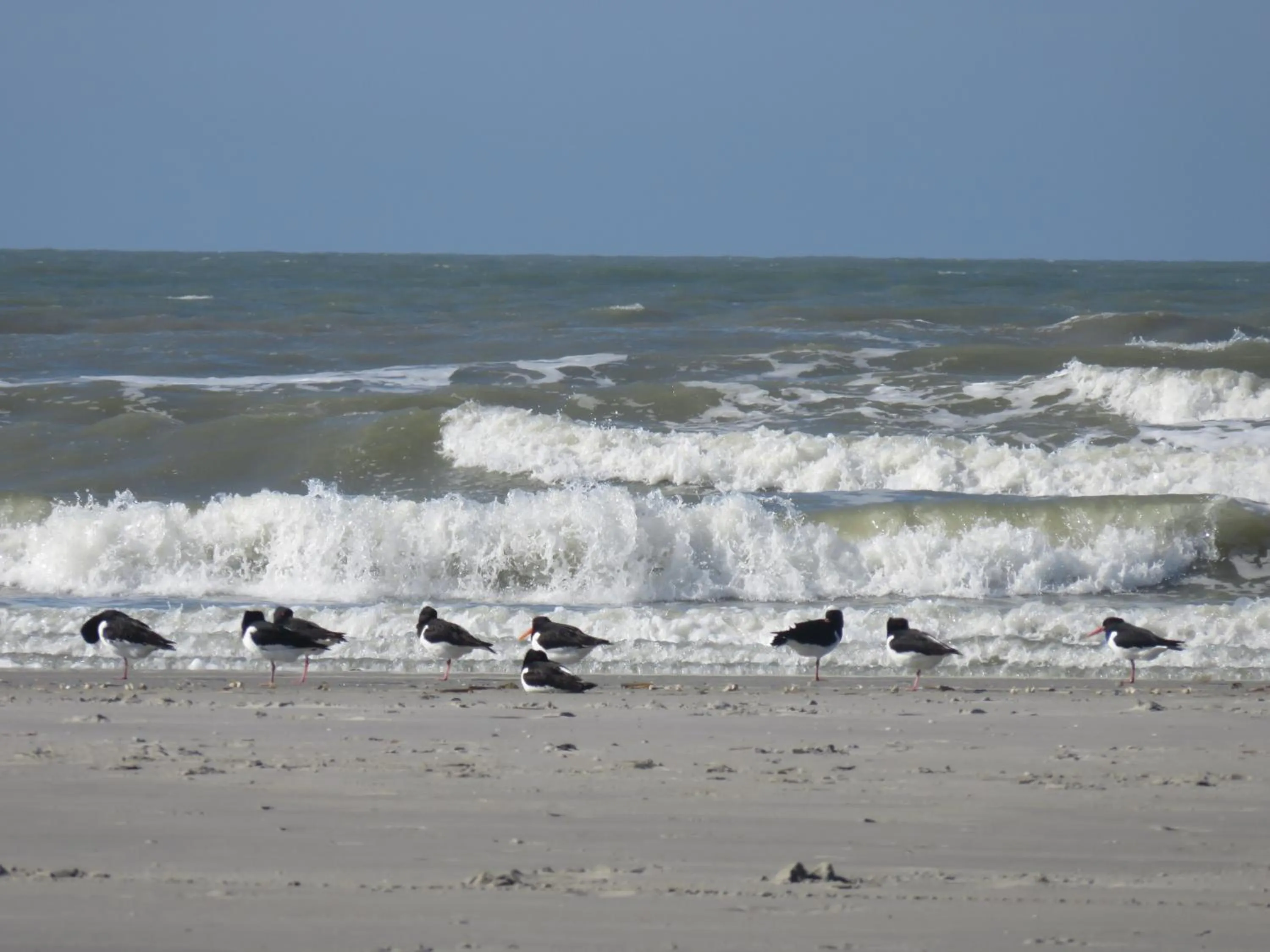 Area and facilities in Hotel "De Klok"