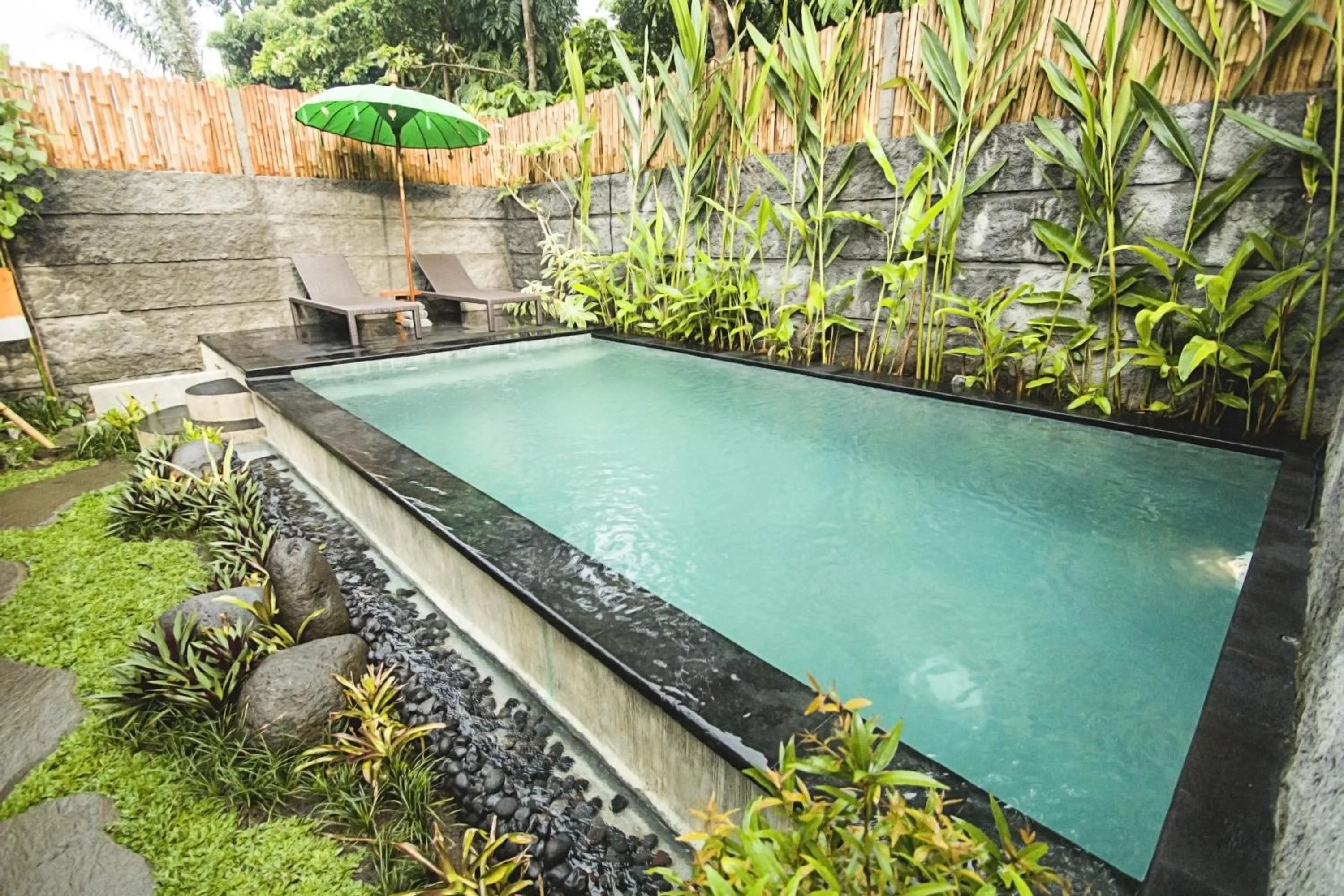 Pool view in The Forest Villa Ubud
