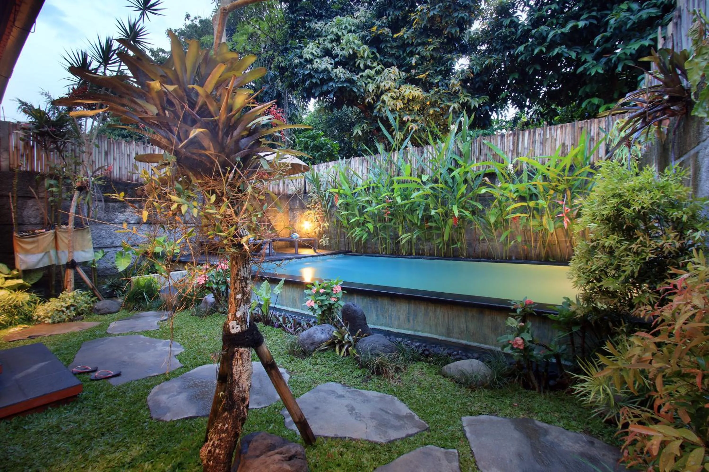 Pool view in The Forest Villa Ubud
