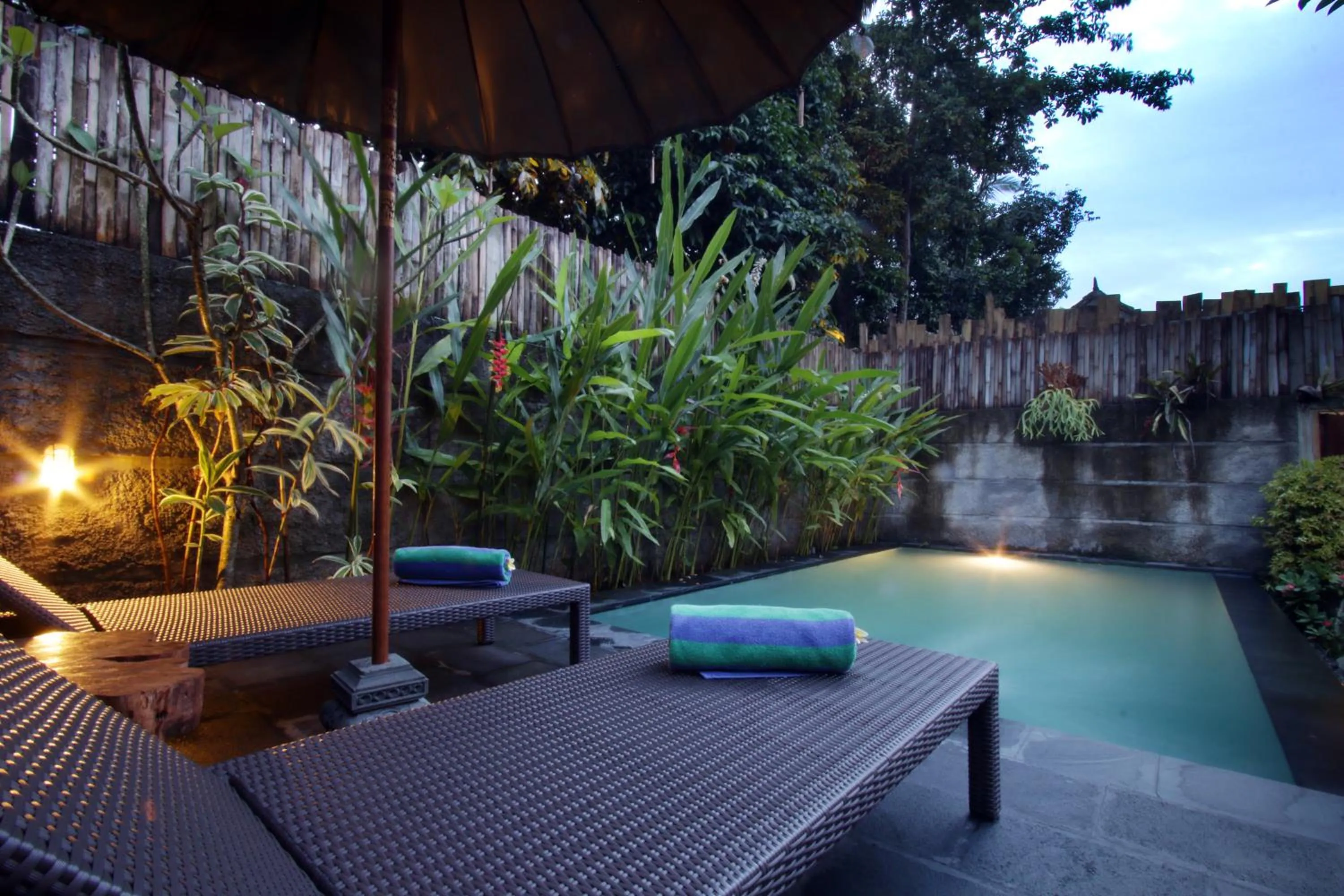 Pool view in The Forest Villa Ubud