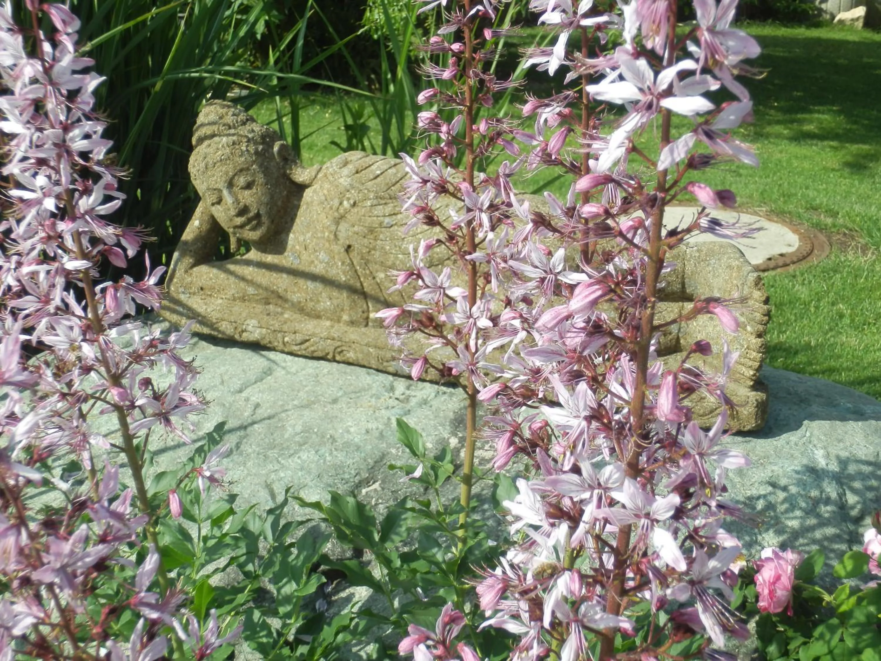 Garden in Bed & Breakfast Engen