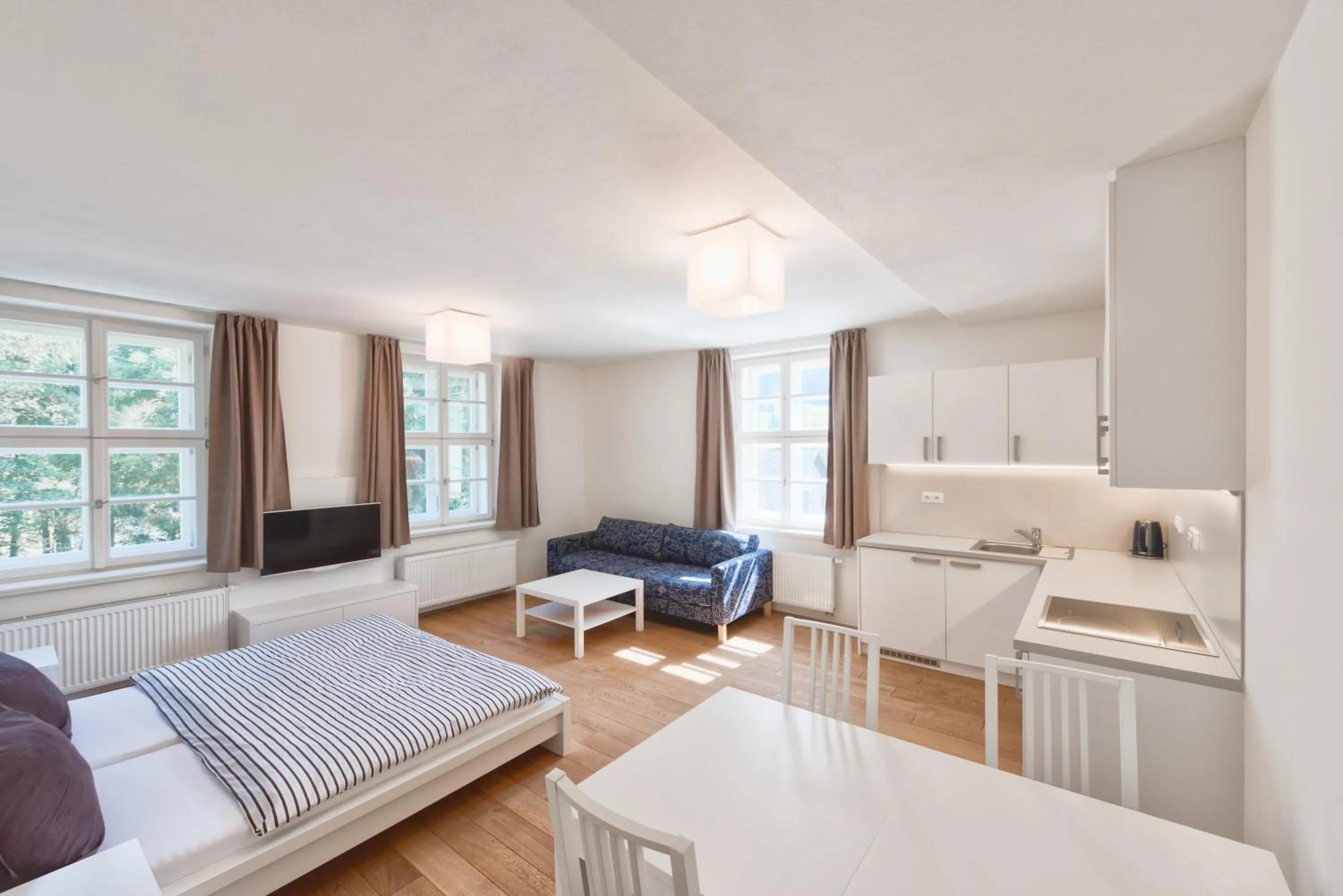 King Studio with Sofa Bed - single occupancy in Theresian Apartment
