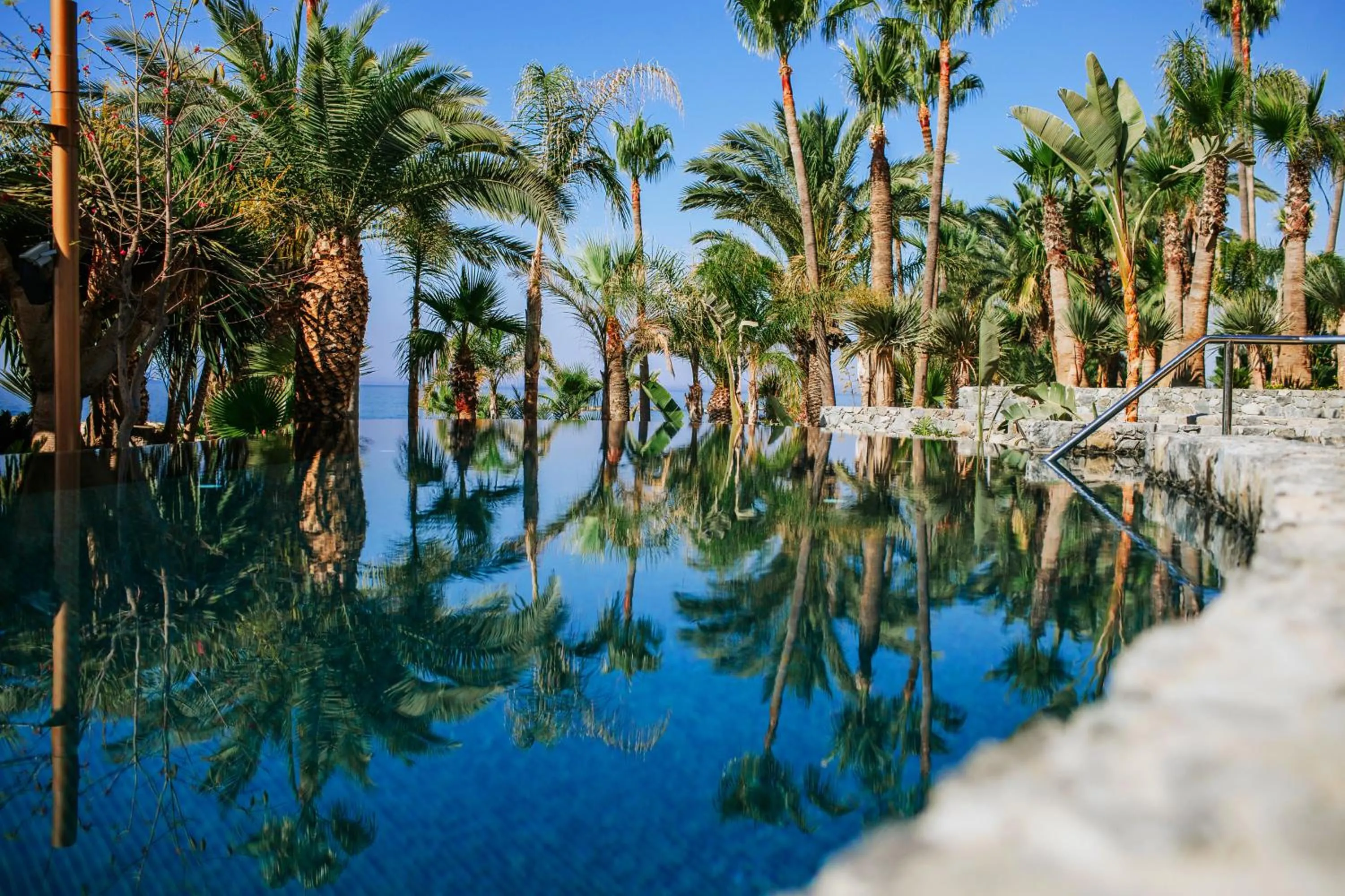 Swimming pool in Amathus Beach Hotel Limassol
