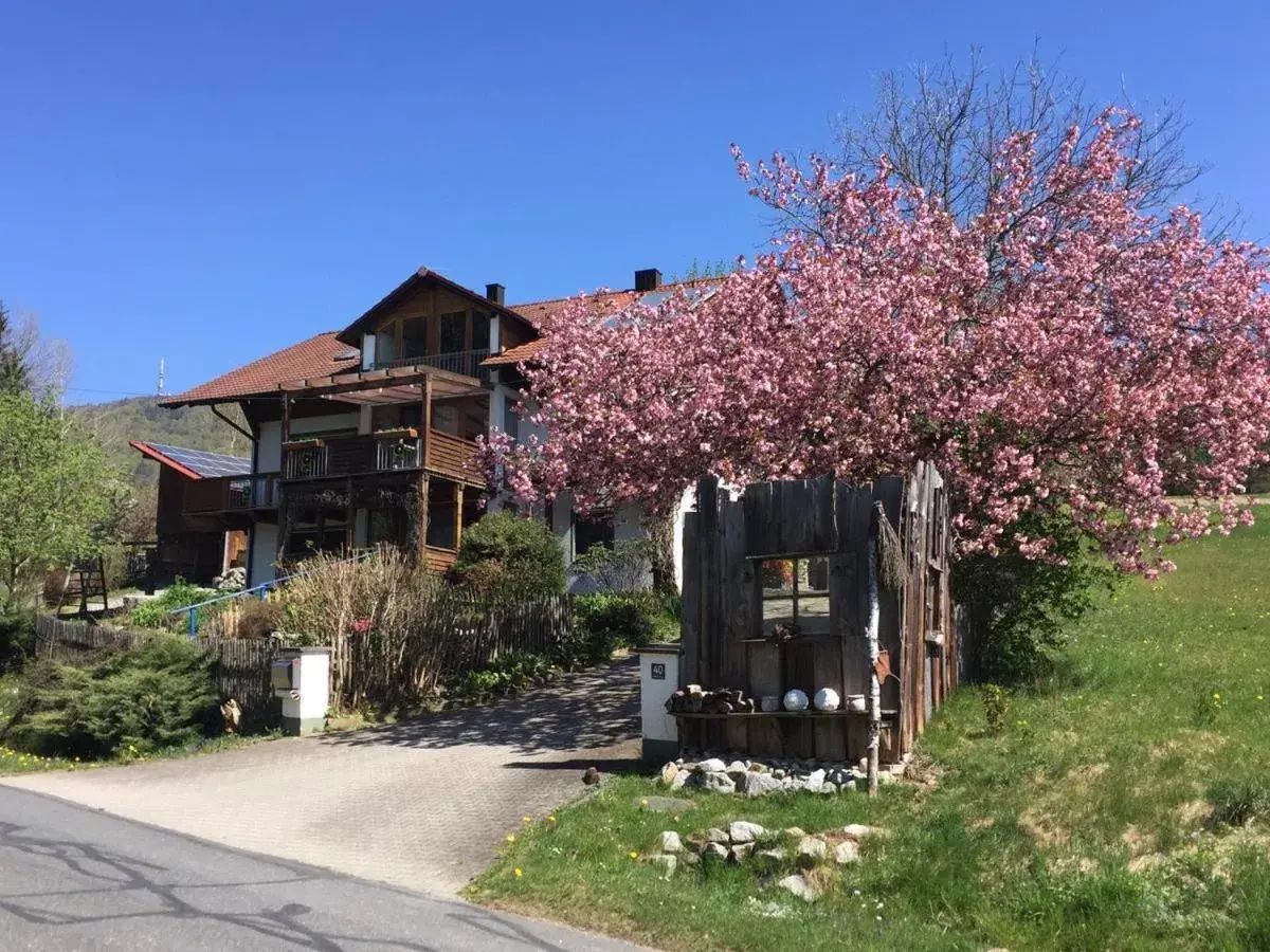 Ferienwohnung Gammer Ferienwohnung Gammer