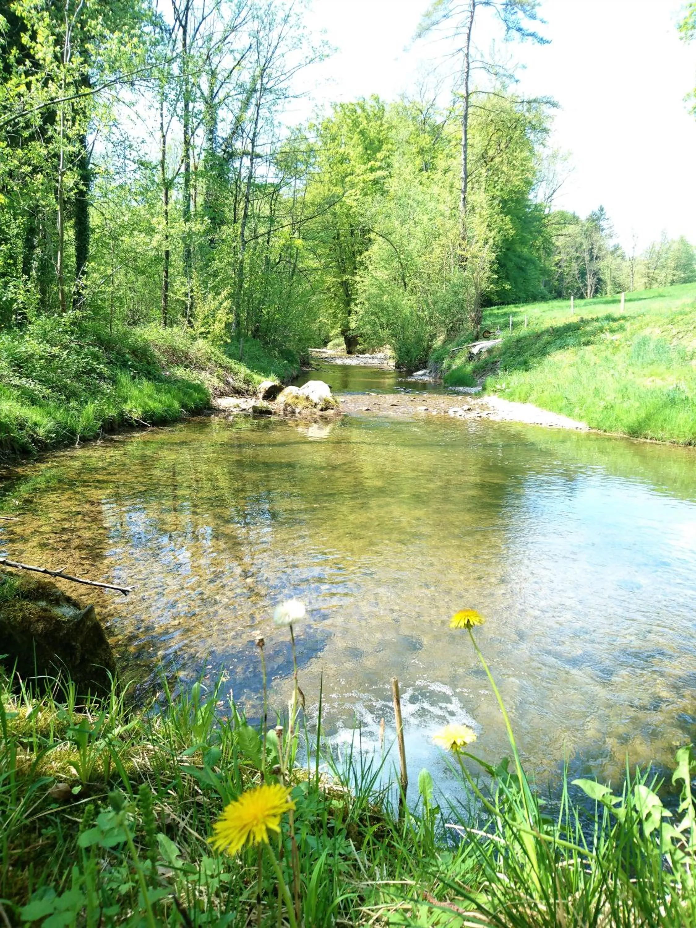 Natural landscape in Gasthaus zum Ochsen