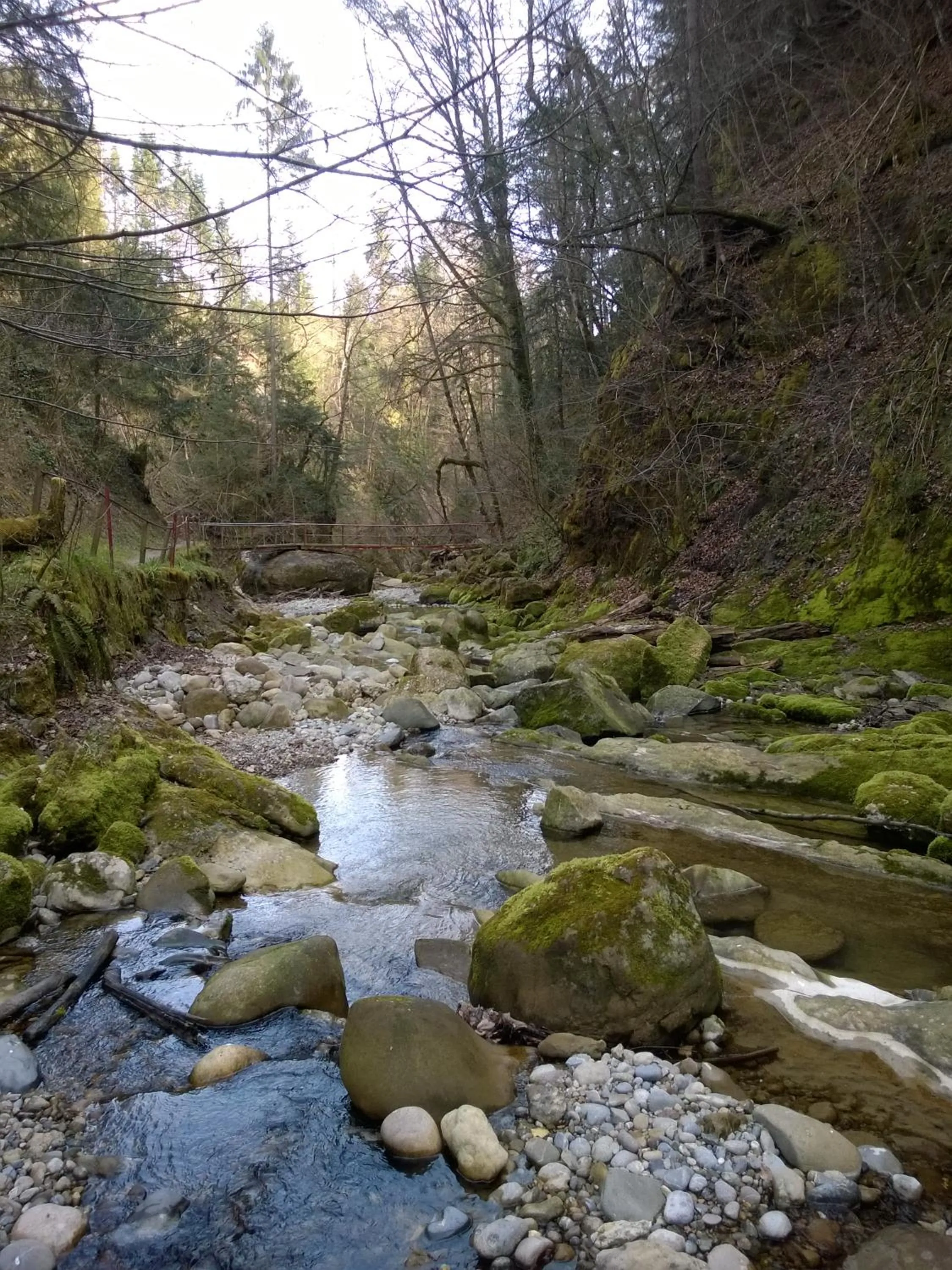 Nearby landmark in Gasthaus zum Ochsen