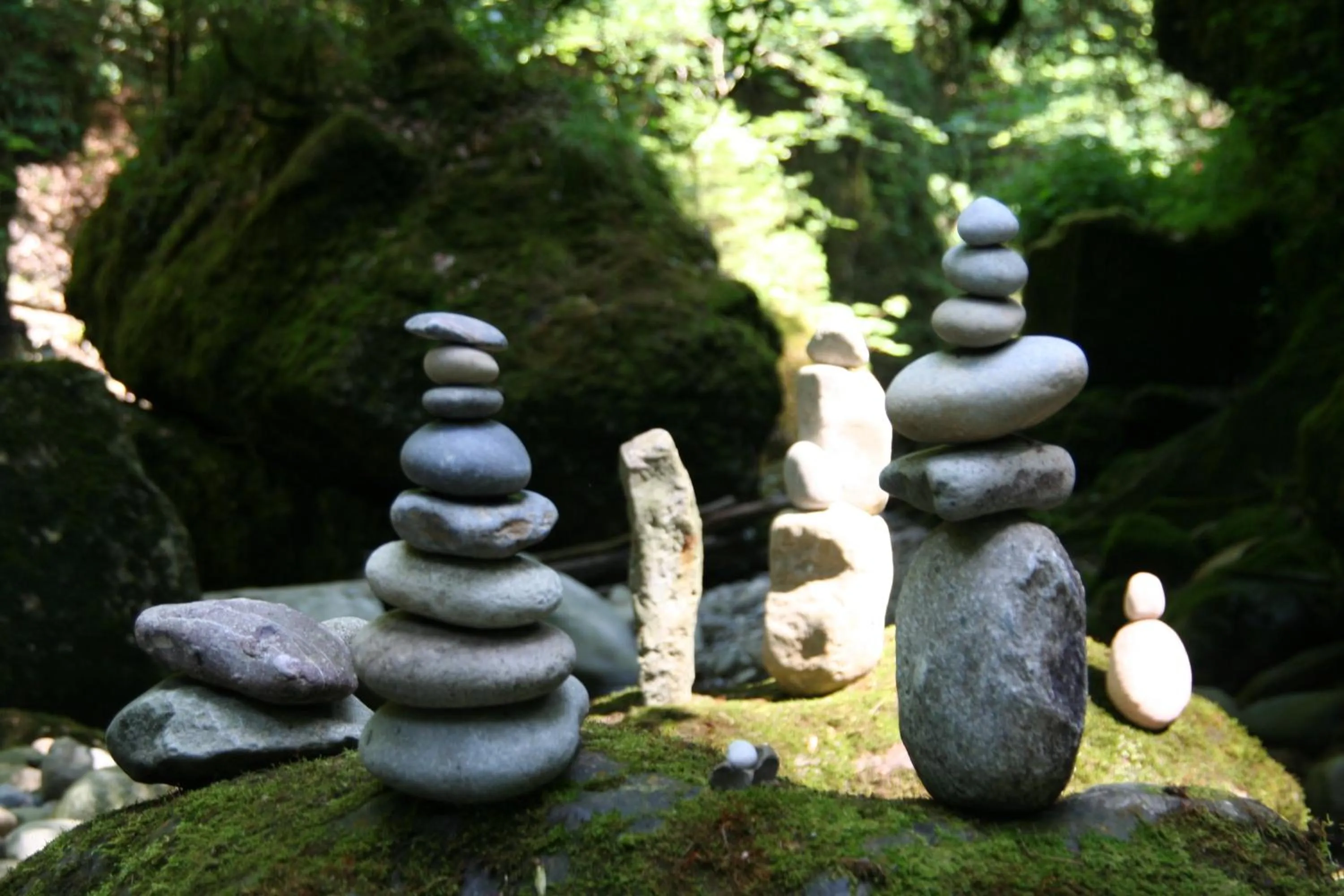Nearby landmark in Gasthaus zum Ochsen