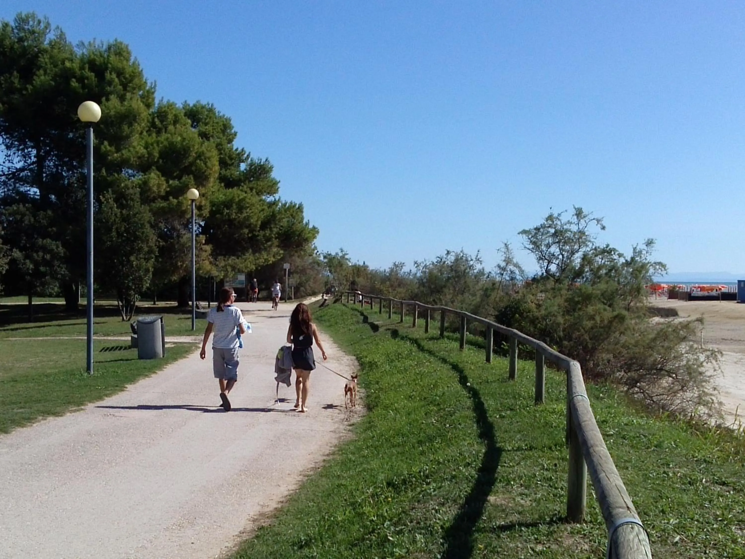 Garden in Hotel Alexander