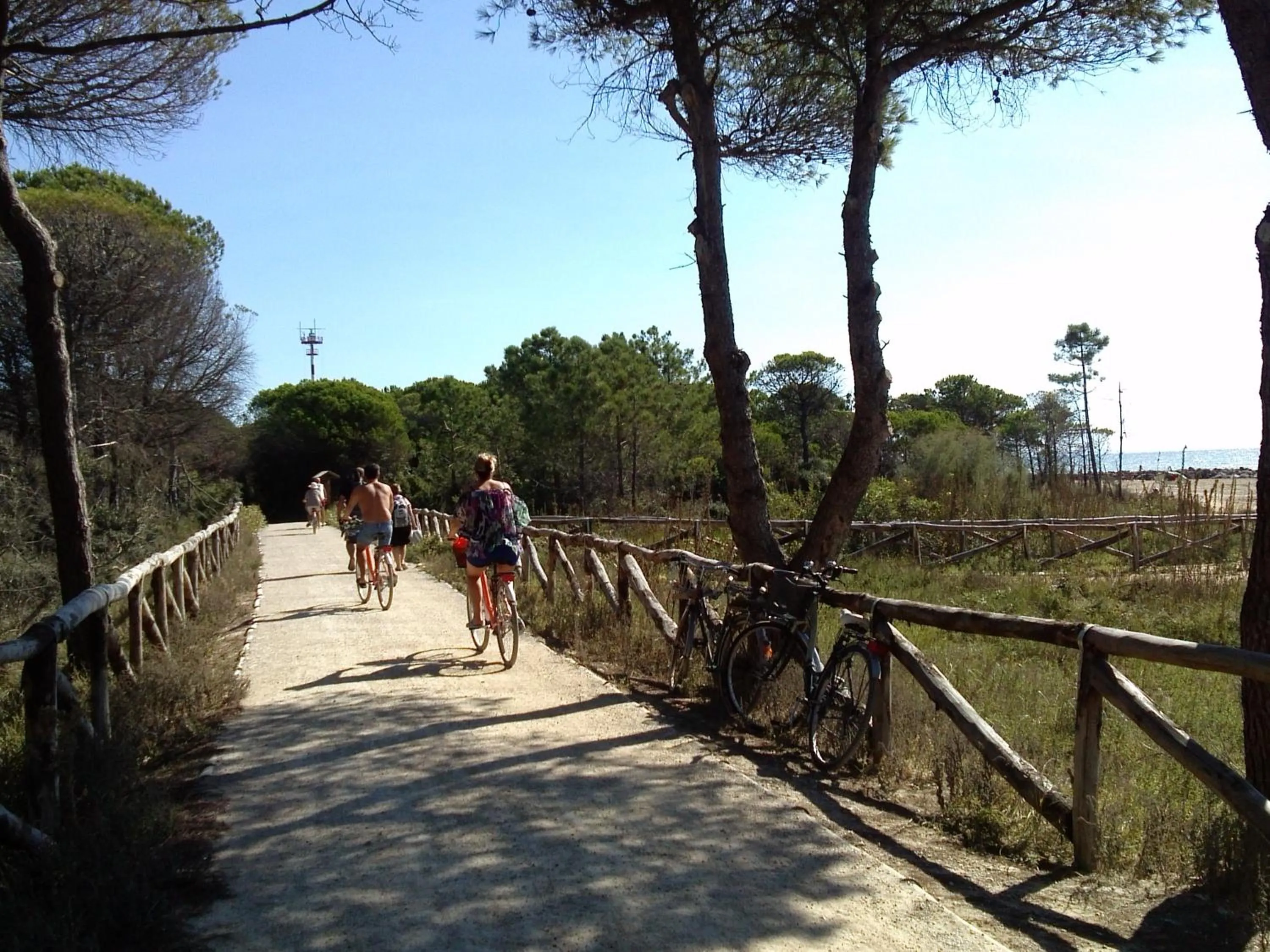 Cycling in Hotel Alexander