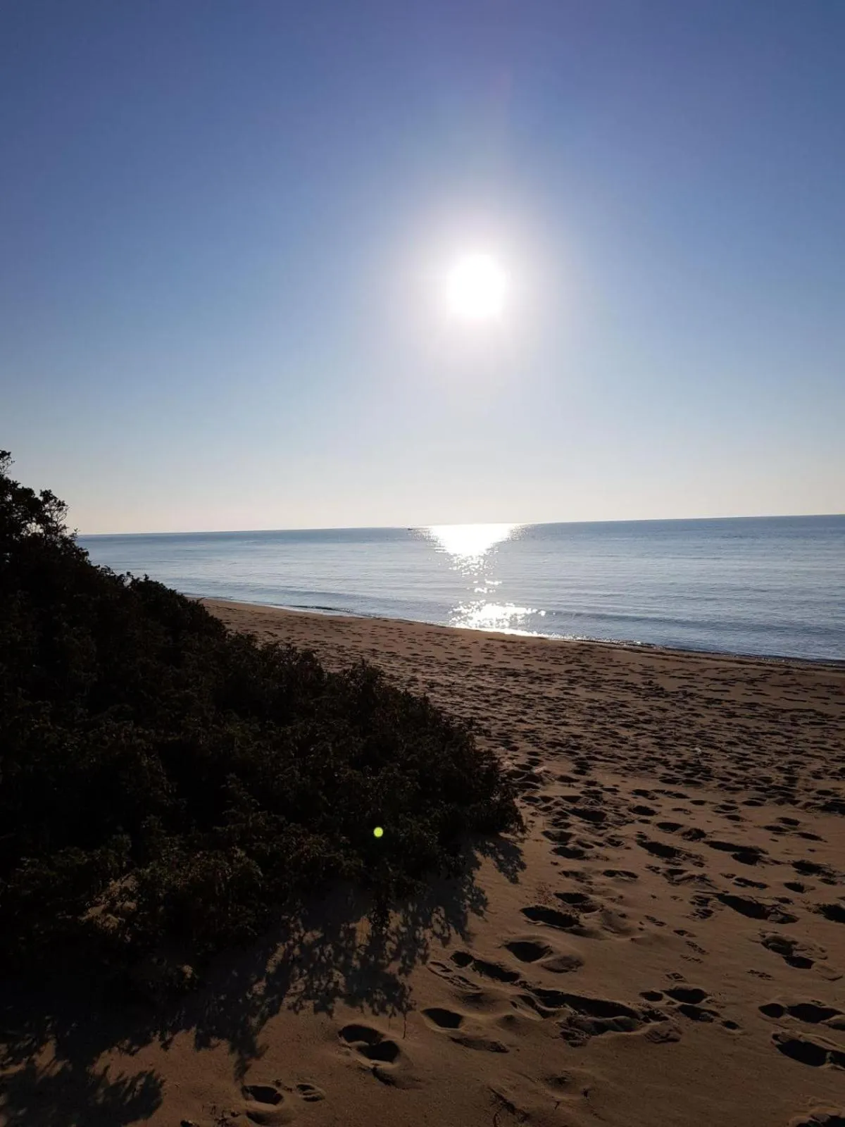 Beach in Villa Elvira B&B