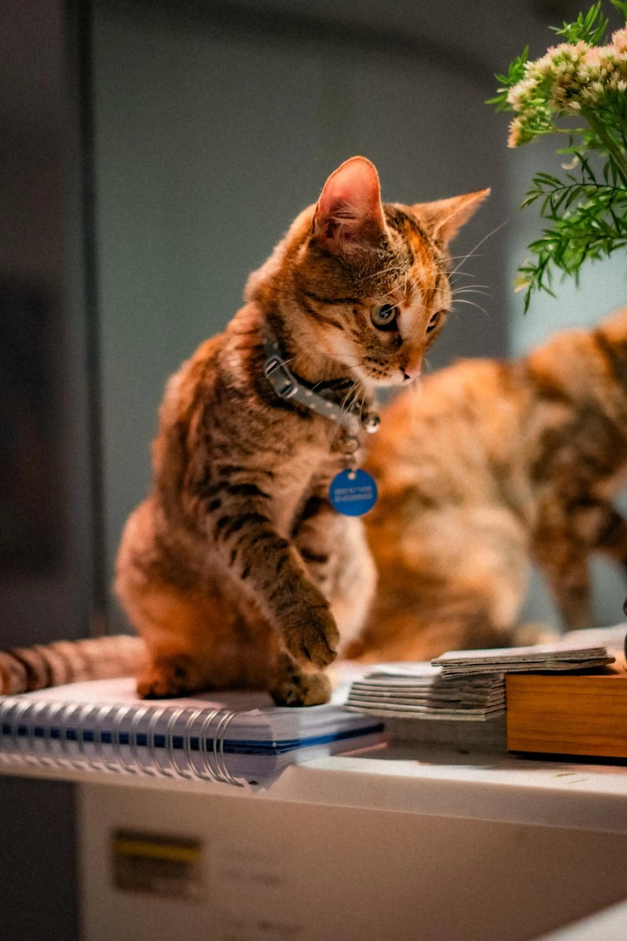 Hôtel Vendome Saint-Germain