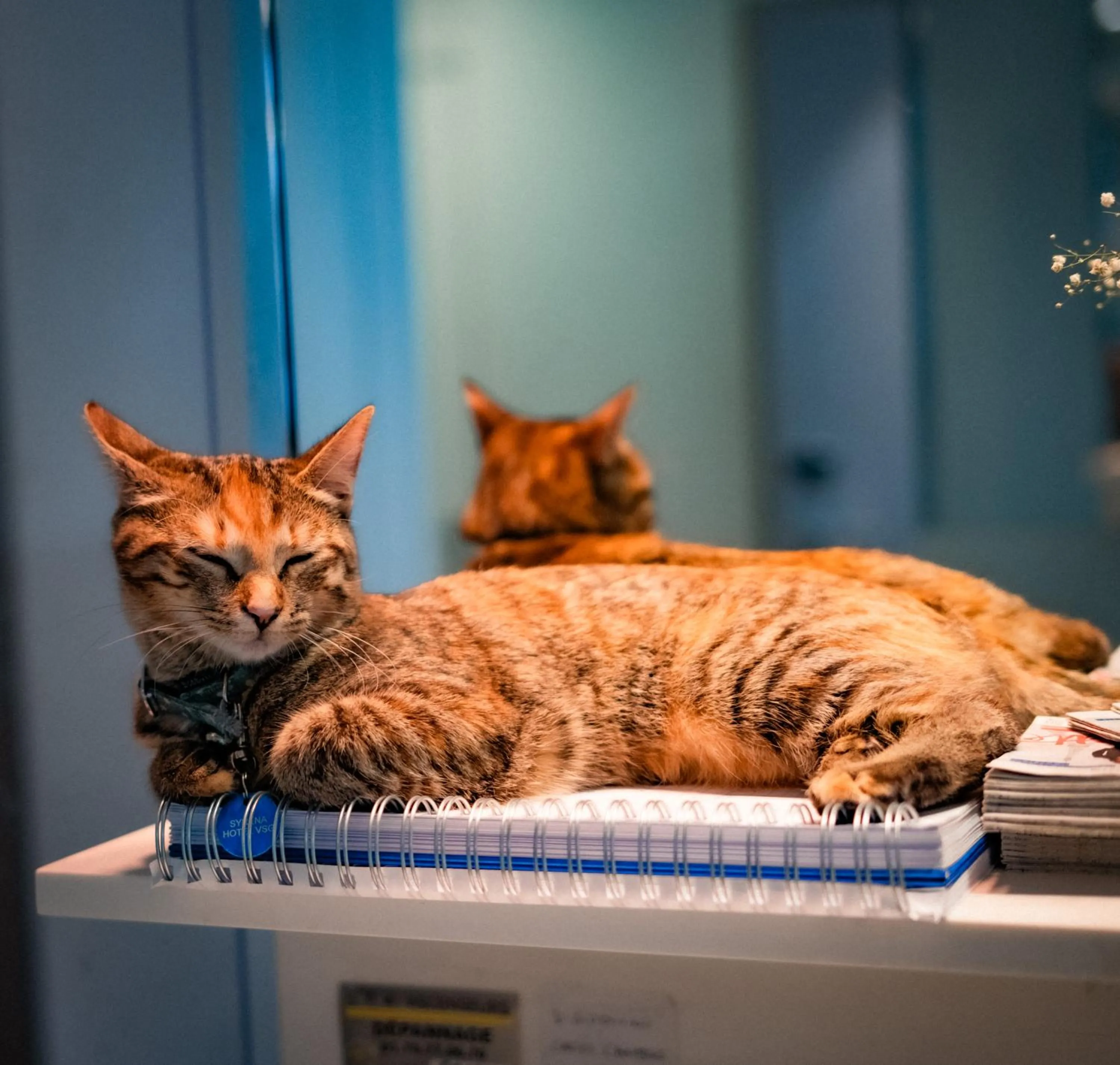 Hôtel Vendome Saint-Germain