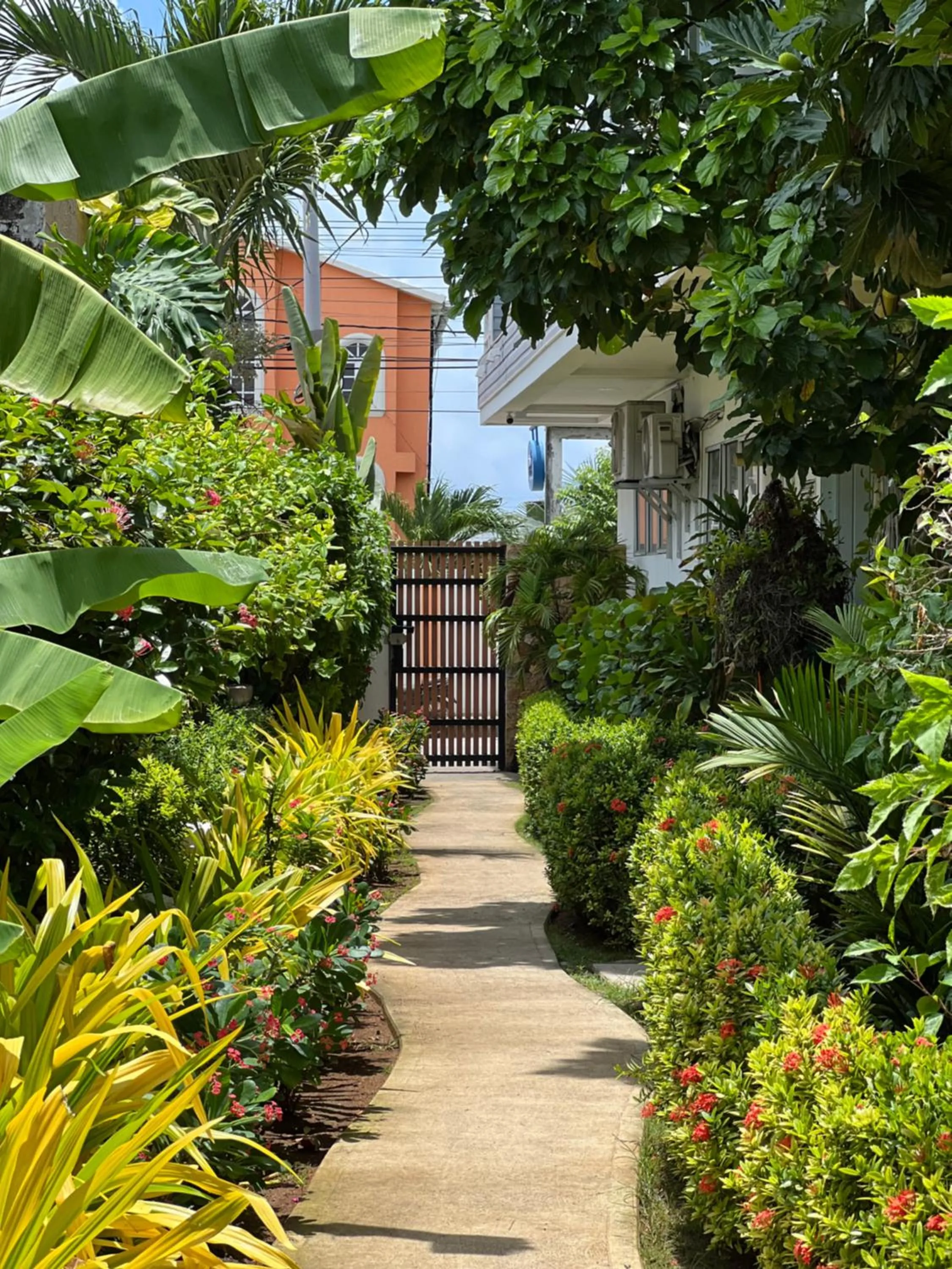 Day in Summer House Inn San Andres