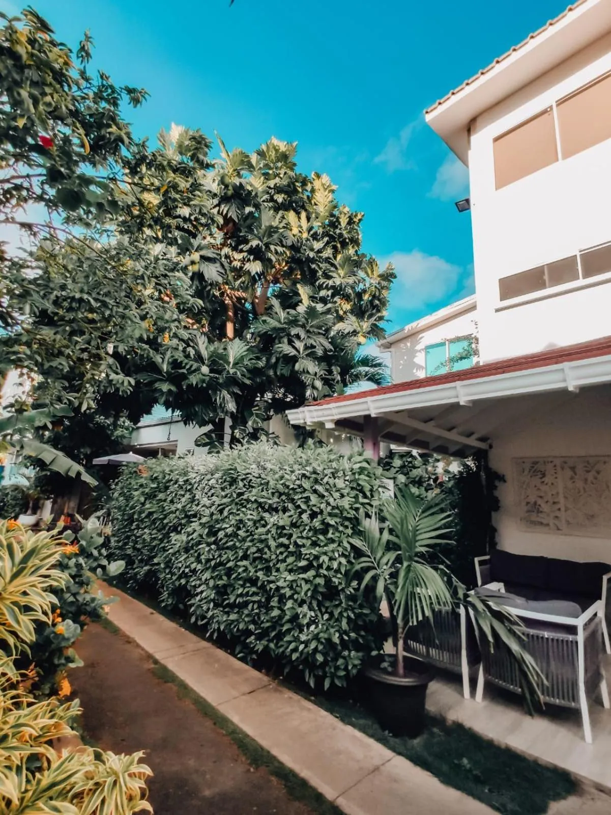 Property building in Summer House Inn San Andres