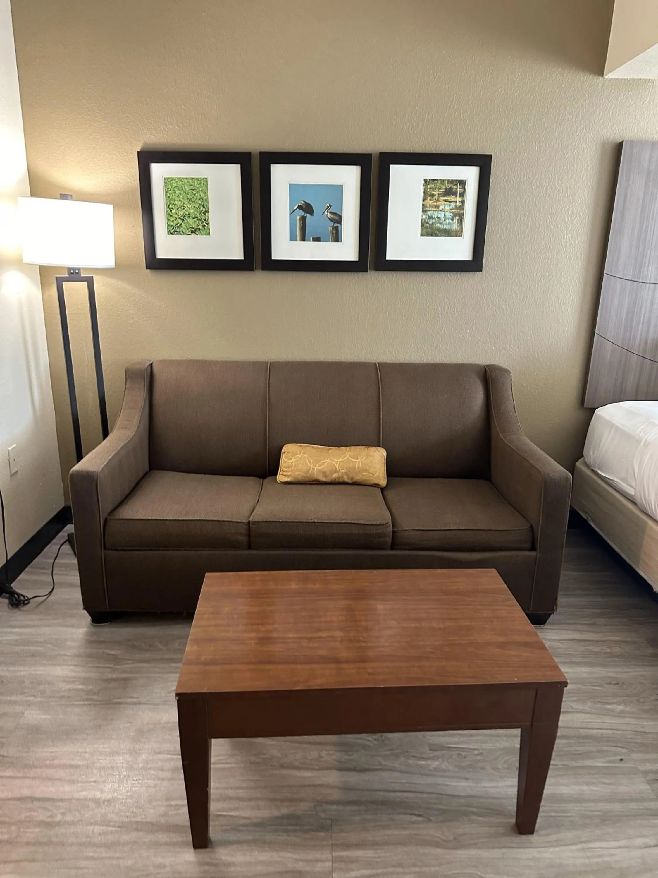 Living room, Bed in Comfort Suites Sawgrass