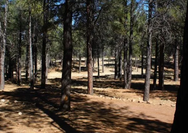 Spring in Arizona Mountain Inn & Cabins